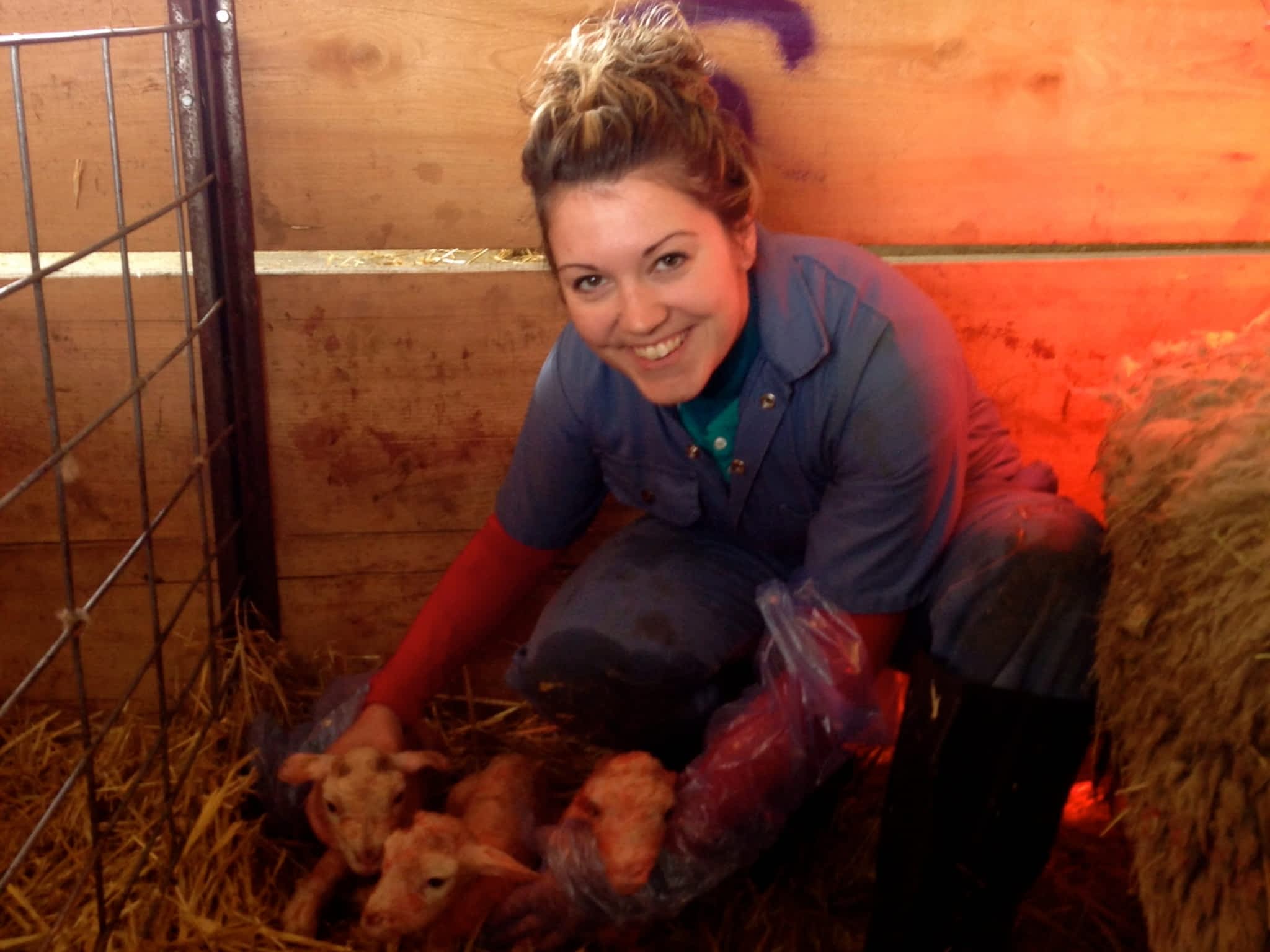 photo Cannington Veterinary Services