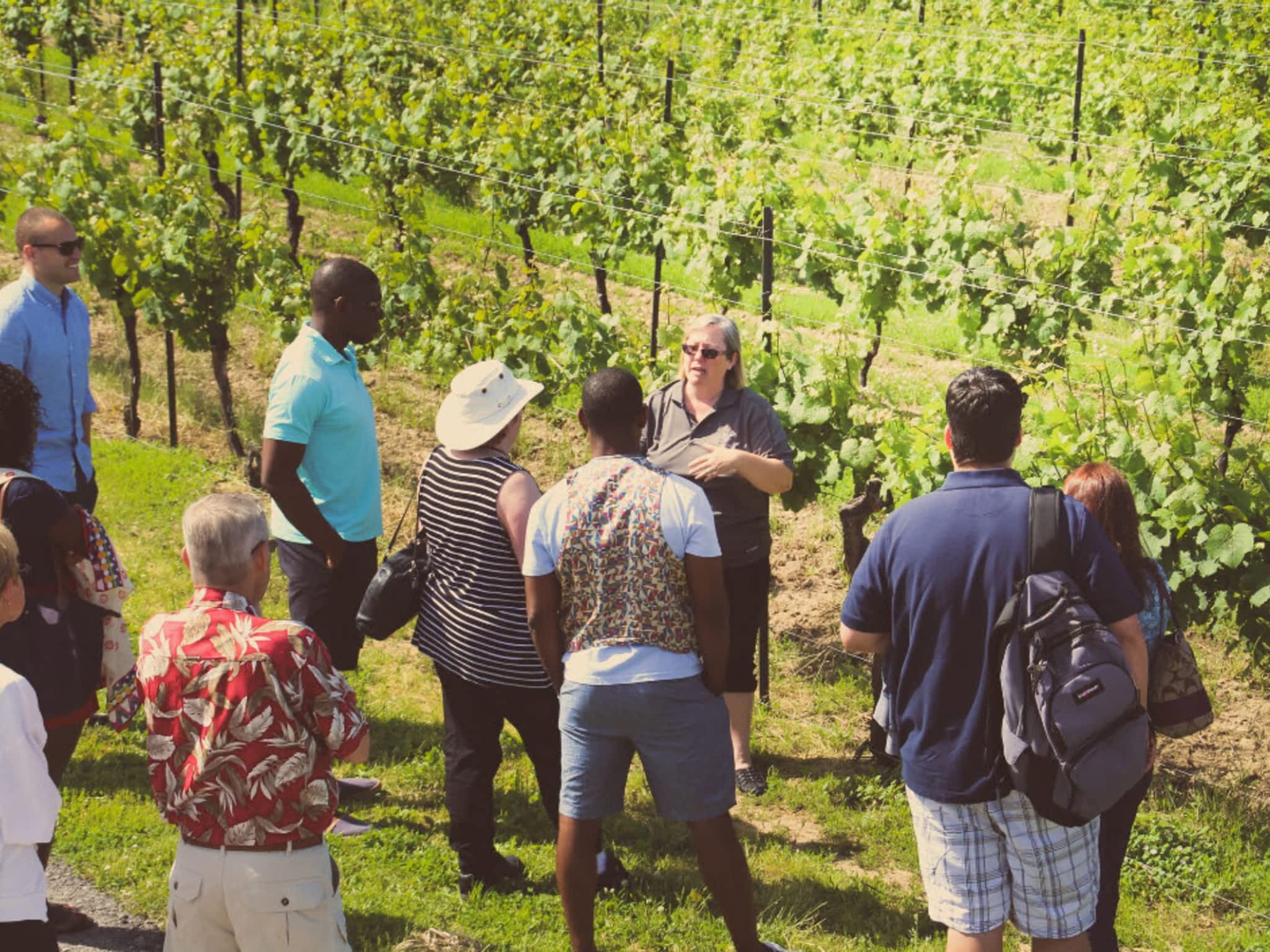 photo Niagara Vintage Wine Tours