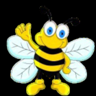 Canada Bees Wax - Bougies