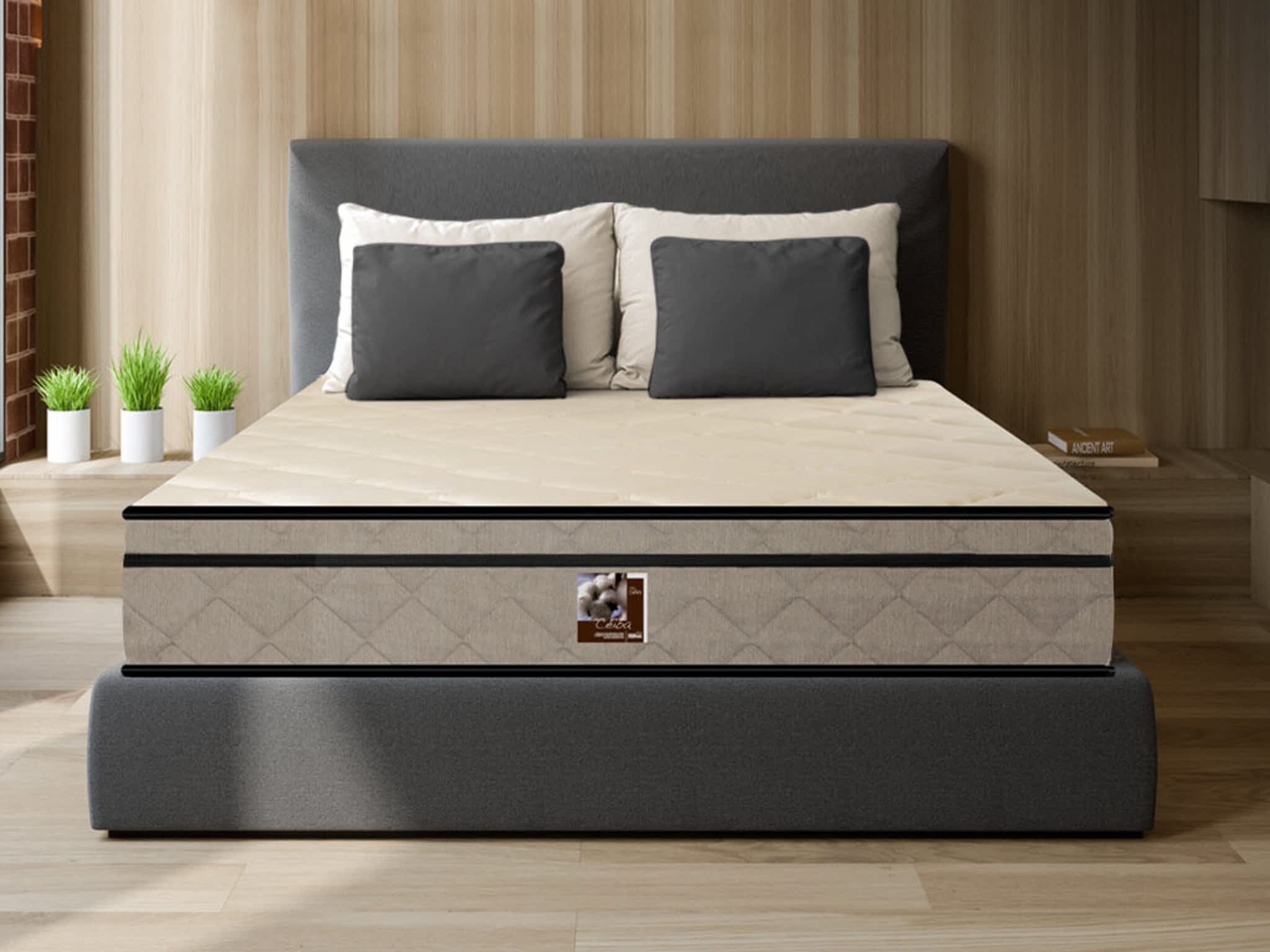 photo Matelas Dauphin