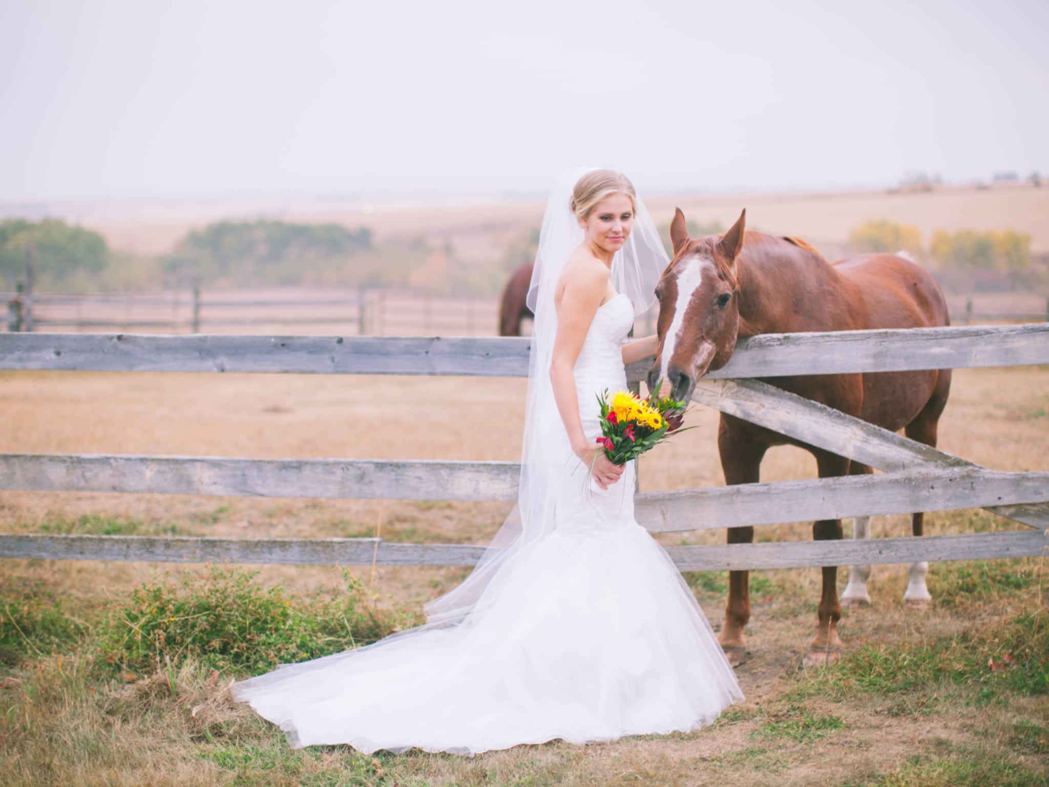 photo Red Velvet Bridal Design