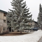 Shelter Canadian Properties - Apartments