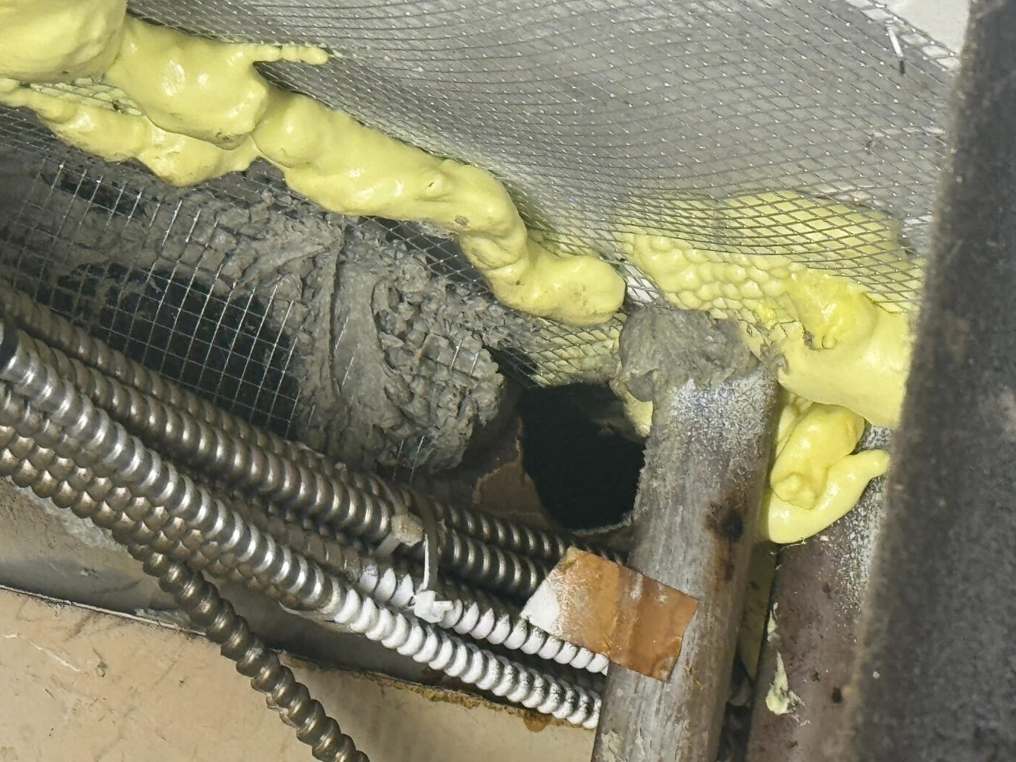 photo Phantom Pest Control Maple Ridge