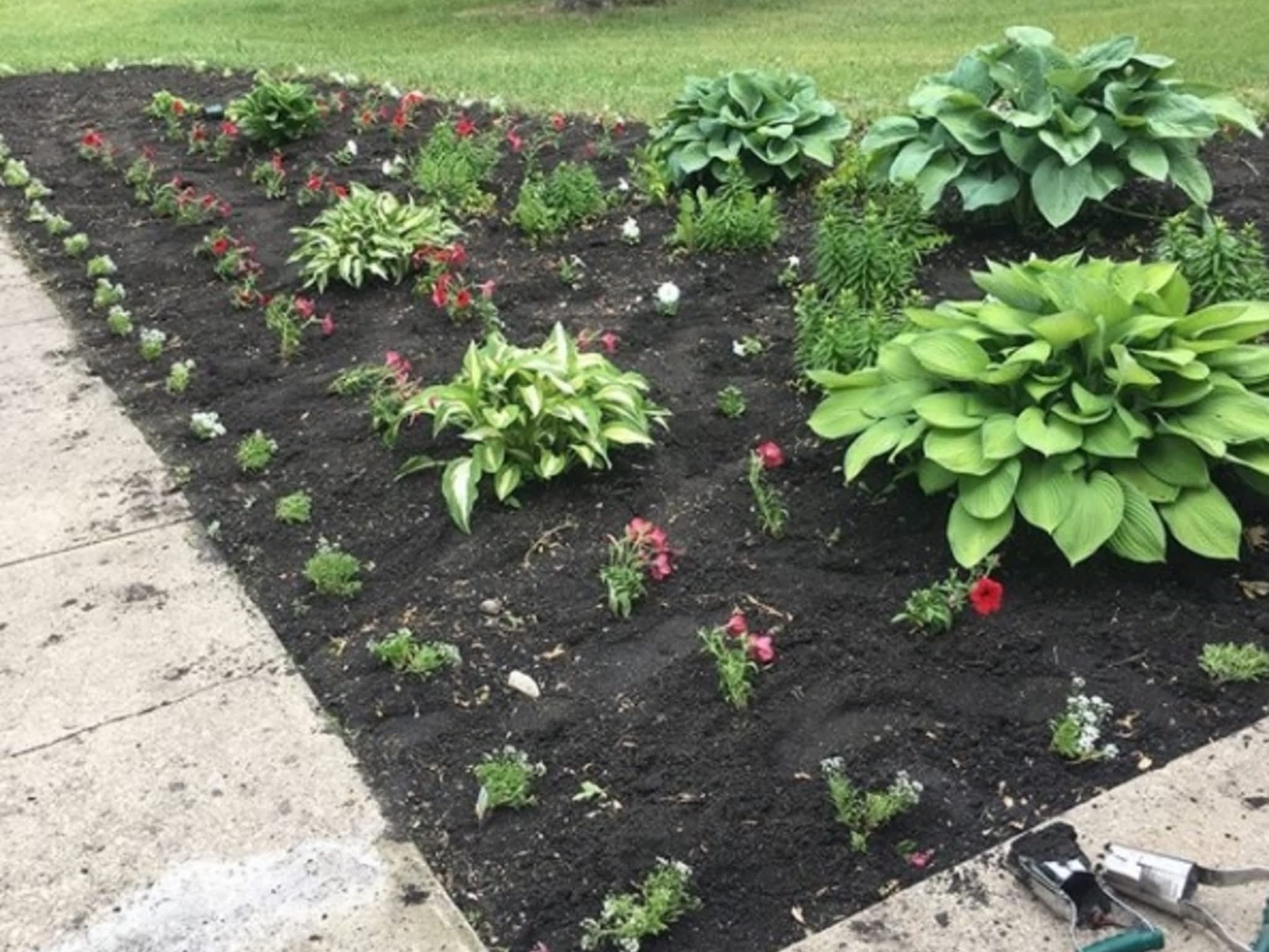 photo Versatile Lawn Solutions