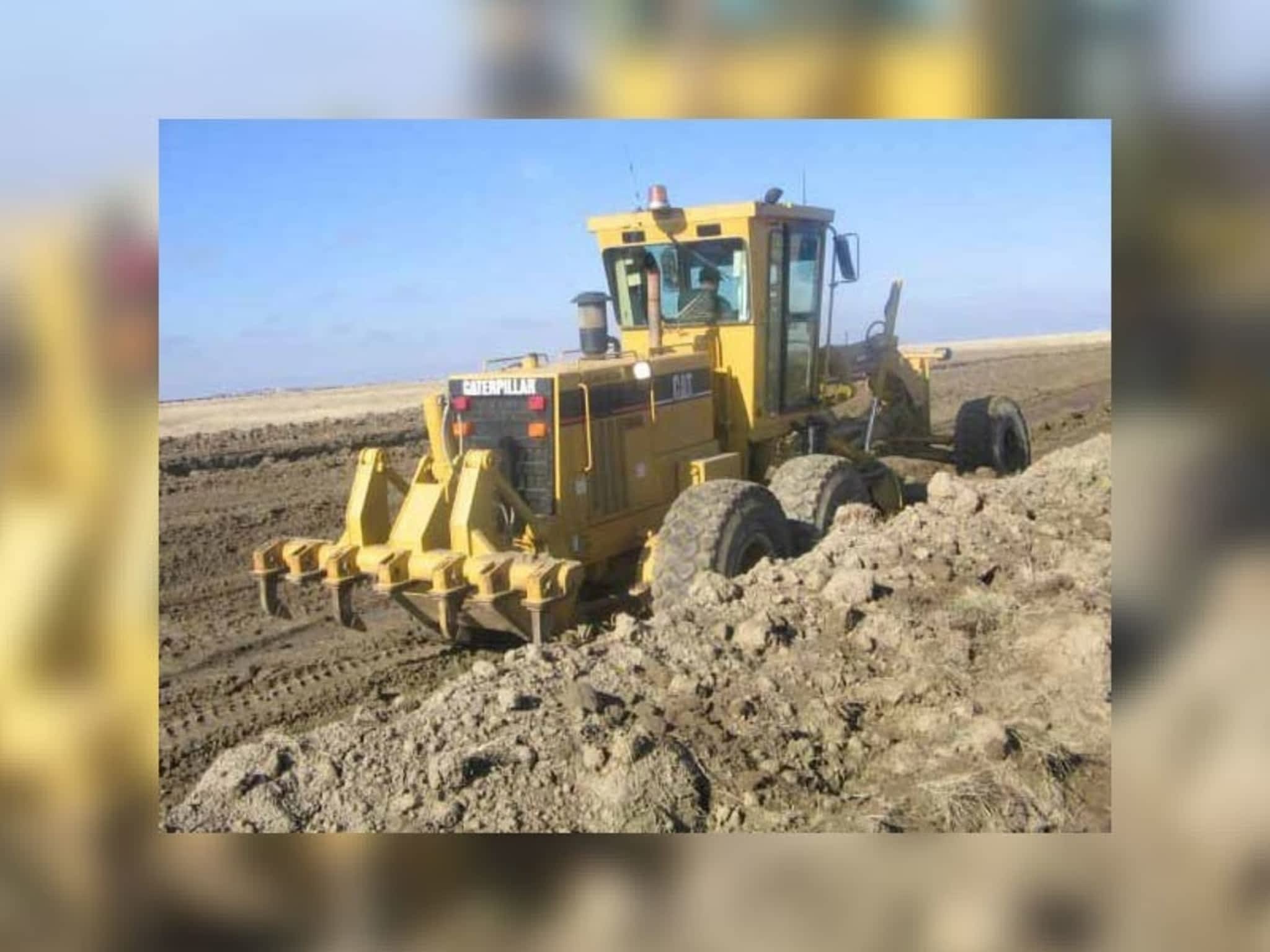 photo Elliott Cats Ltd