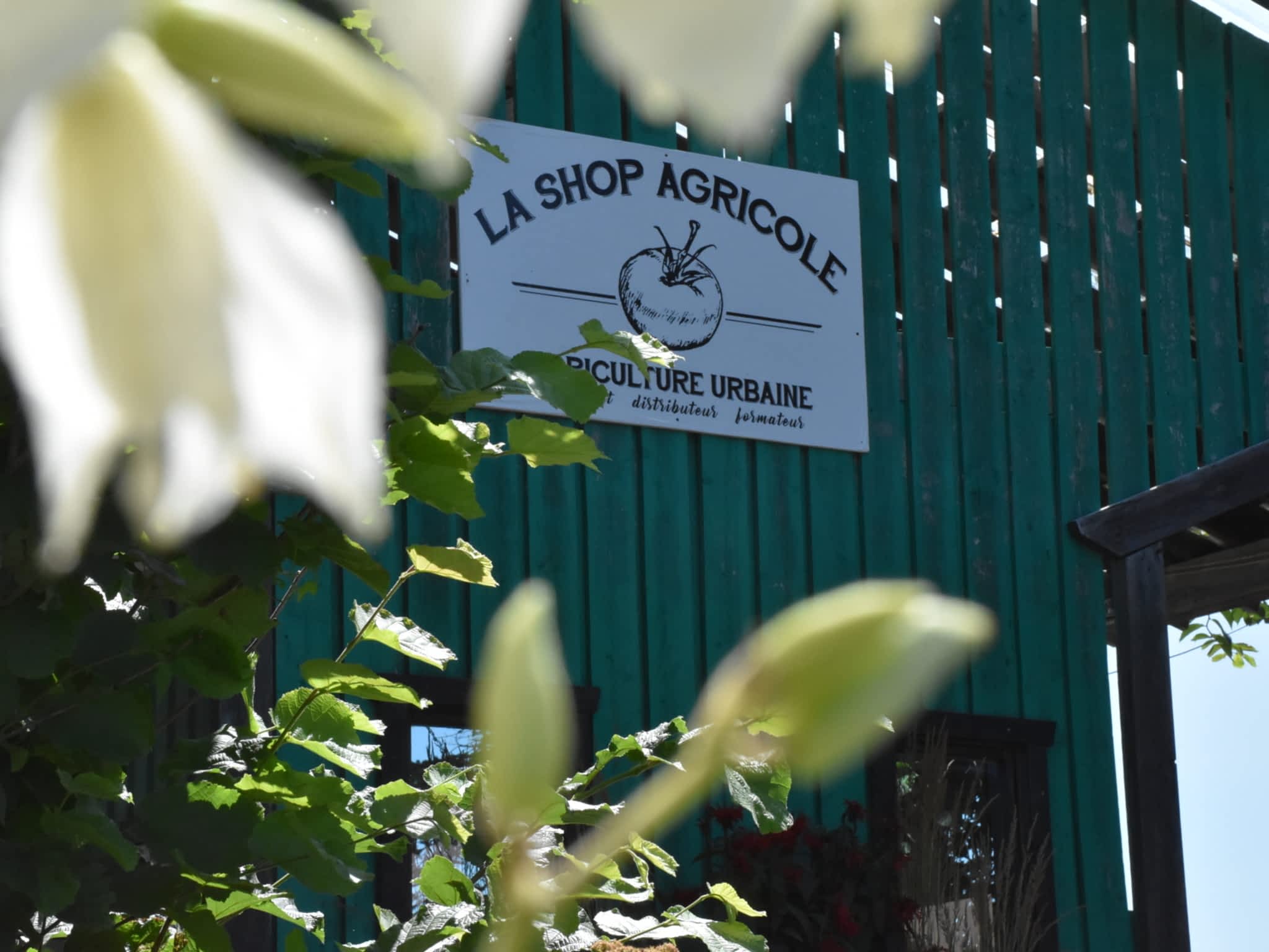 photo La Shop Agricole