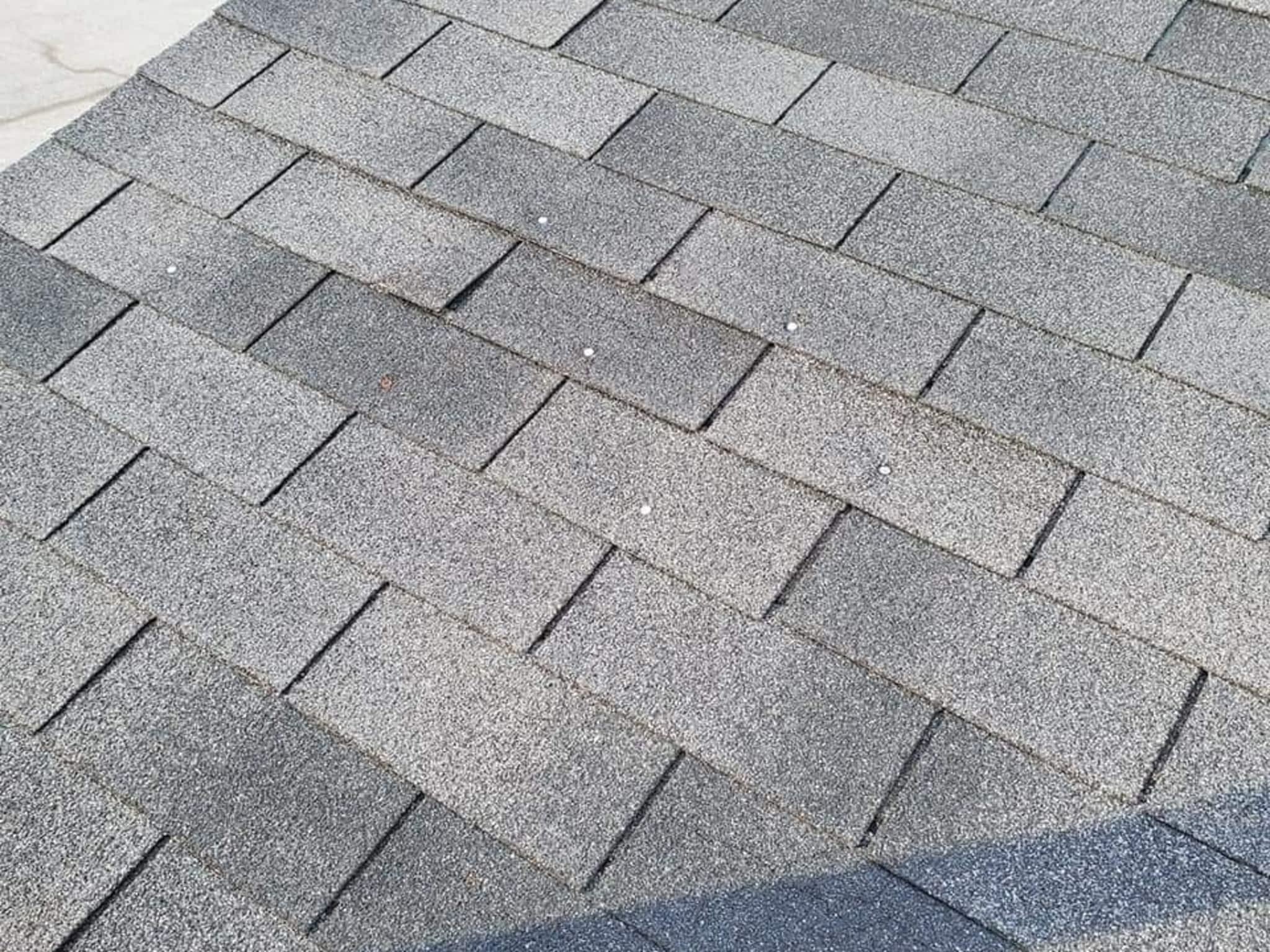 photo Gray Wolves Contracting