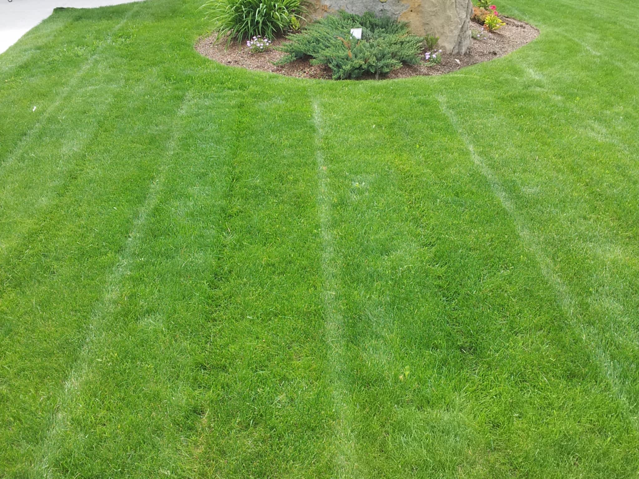 photo Mowhawks Property Services