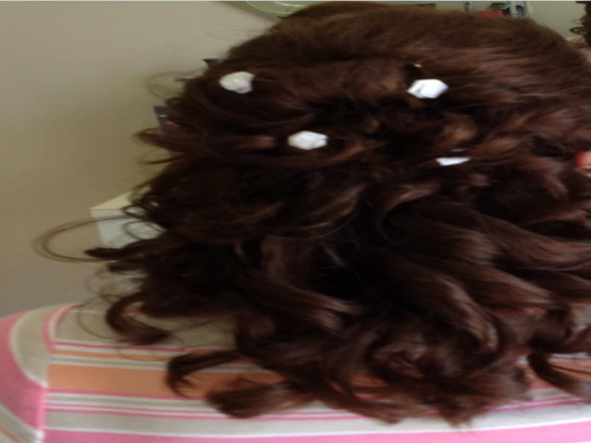 Top Notch Hair Designs By Judy Brandon, MB 1605 College Ave Canpages