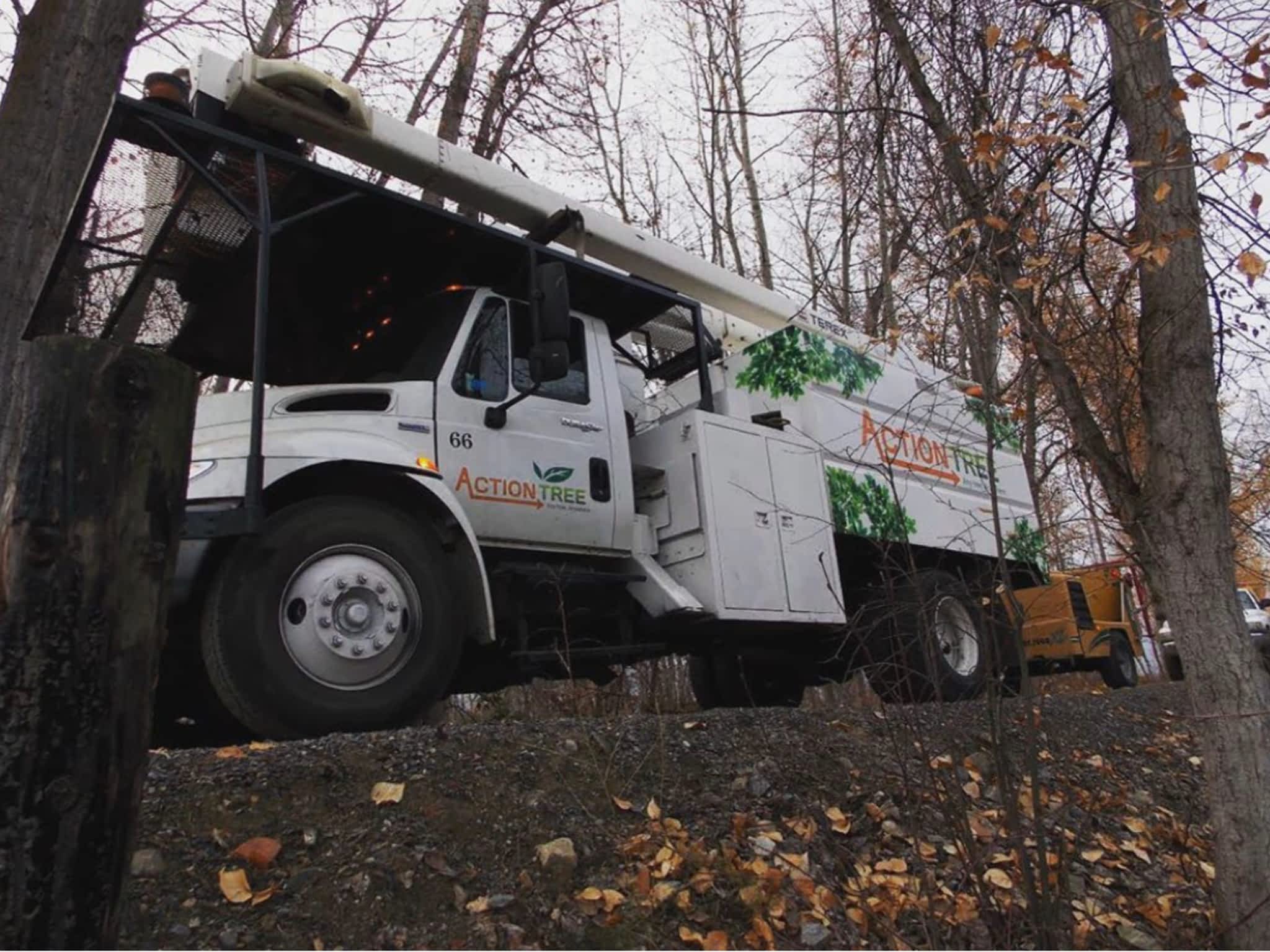 photo Action Tree Service