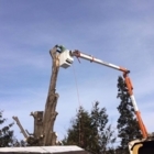 Abattage & Émondage X-Arbre - Service d'entretien d'arbres