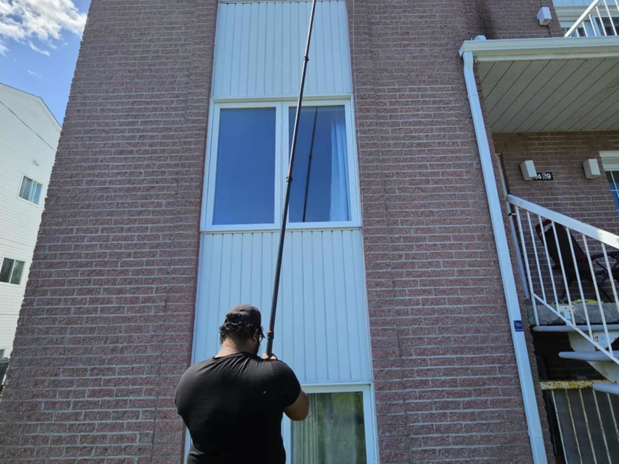 photo D Solution Extermination