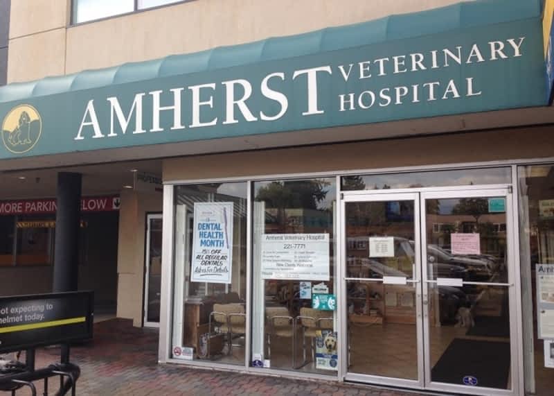 Amherst veterinary best sale