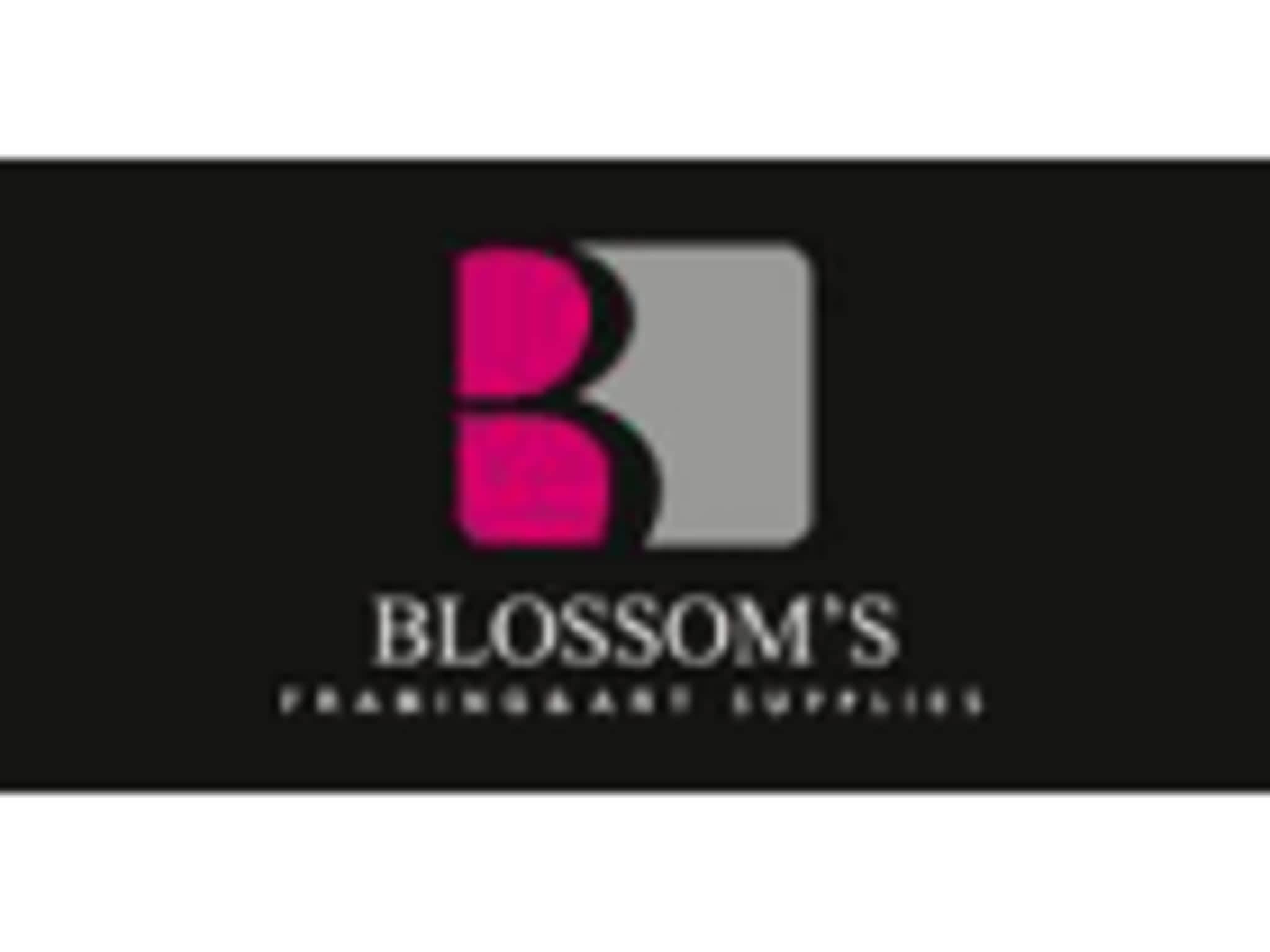 photo Blossom's Framing & Art Supplies
