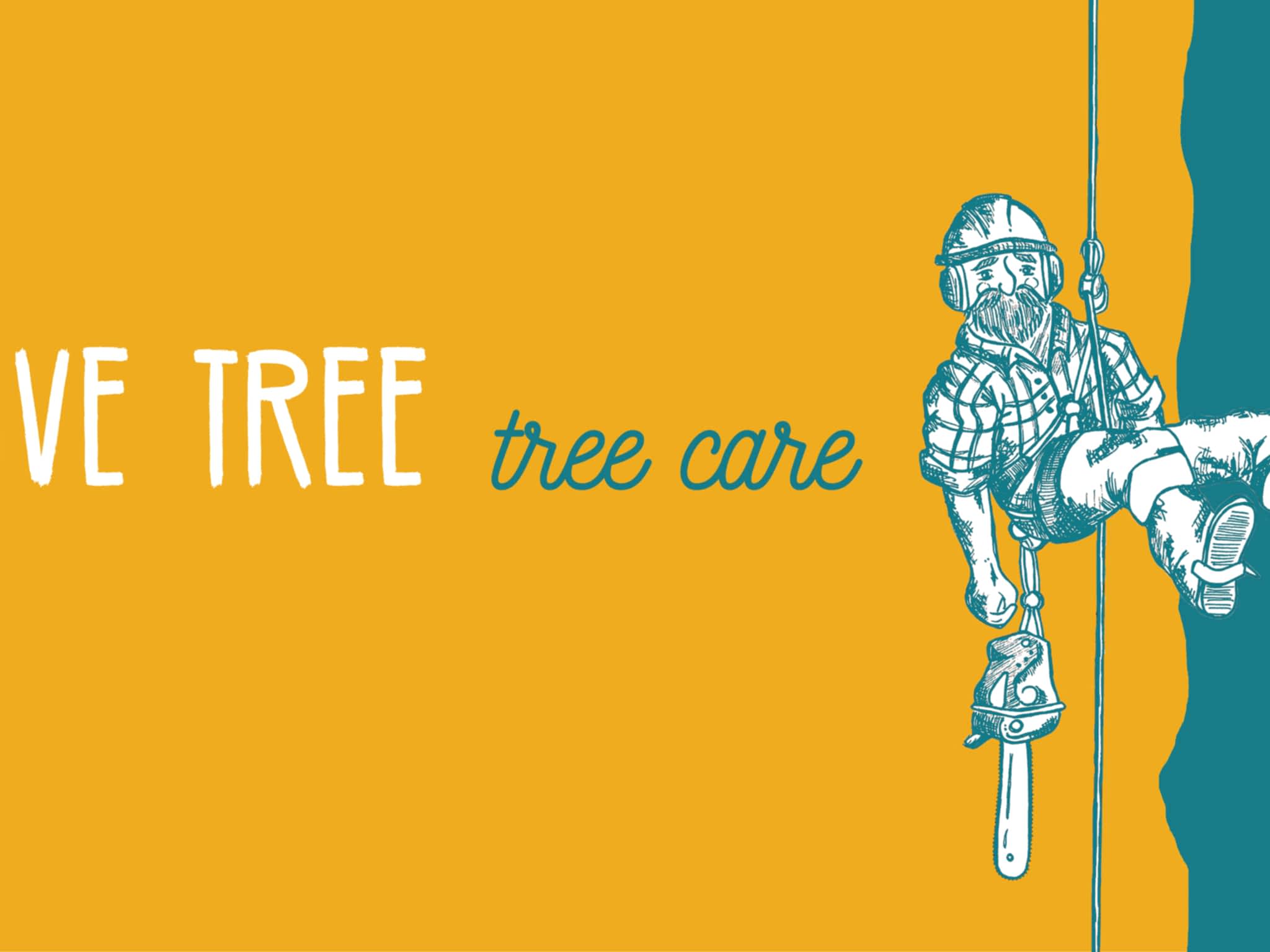 photo Live Tree Tree Care