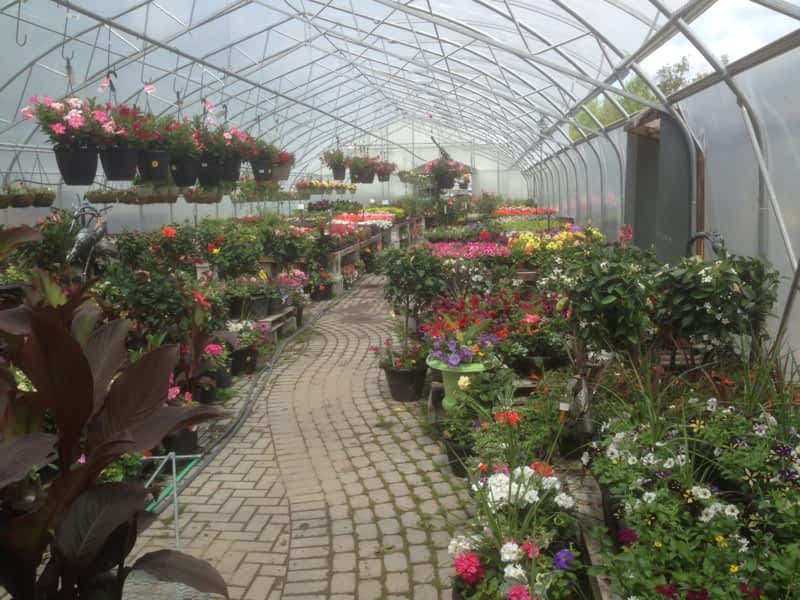 Holland Valley Nursery - Opening Hours - 402 Queensville Side Rd, Holland  Landing, ON