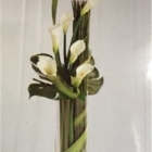 Martel Fleuriste - Florists & Flower Shops
