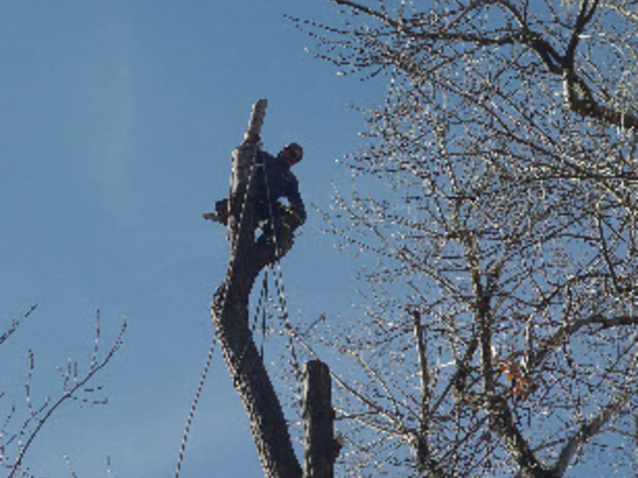 photo Arbo Tech 2002