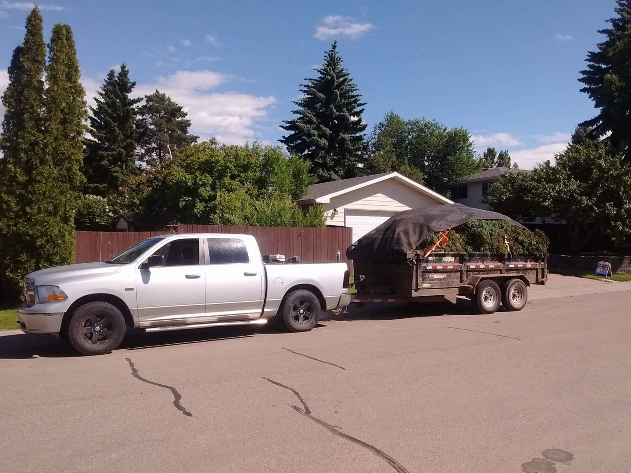 photo Tree Solutions