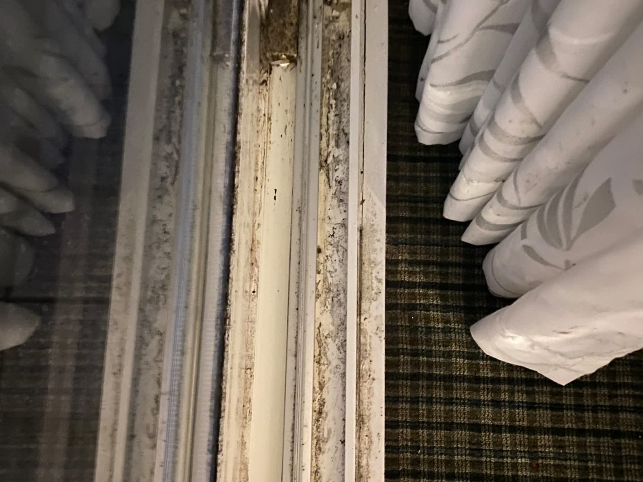 photo Voila Cleaning Services