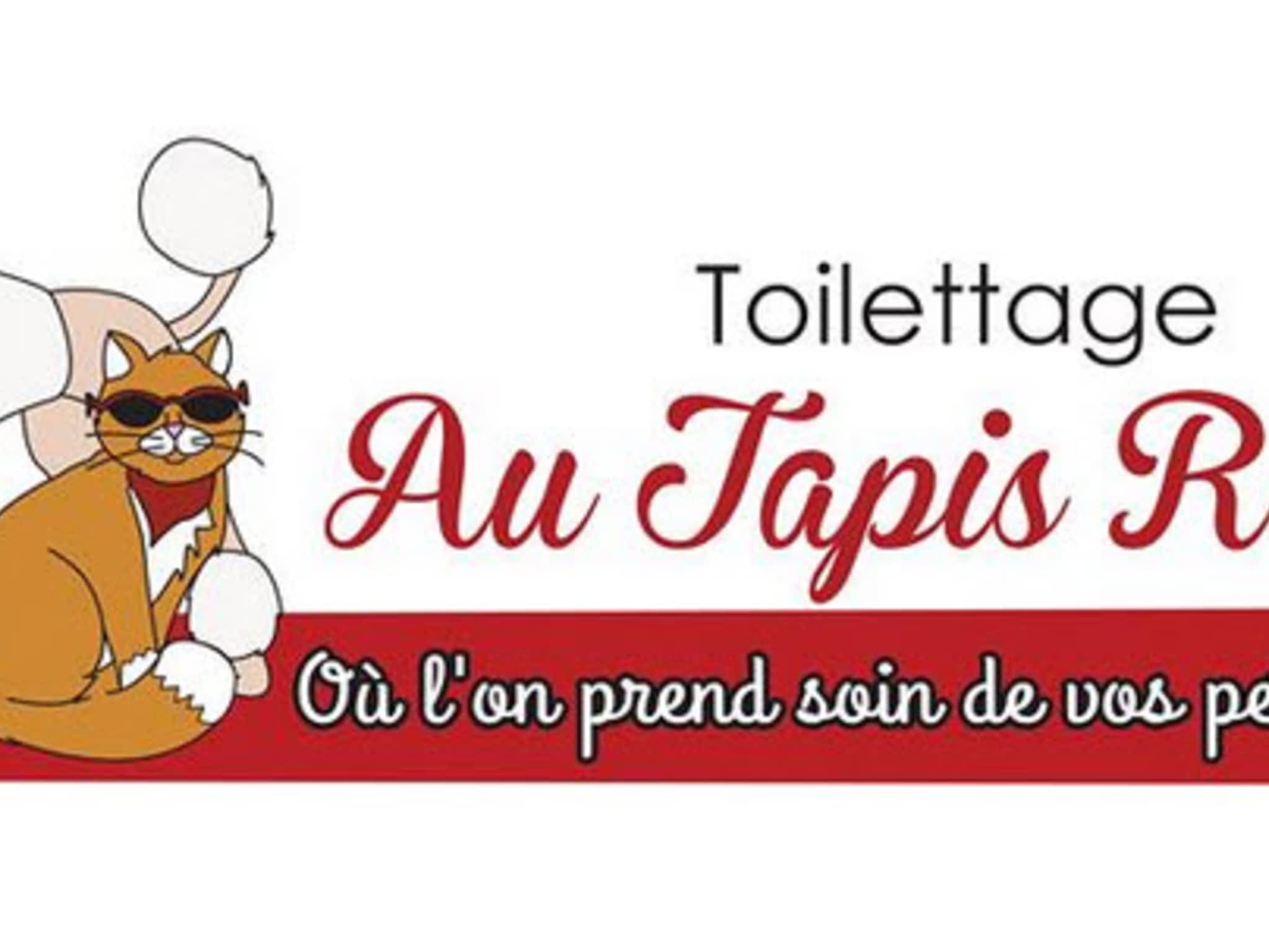 photo Toilettage Au Tapis Rouge