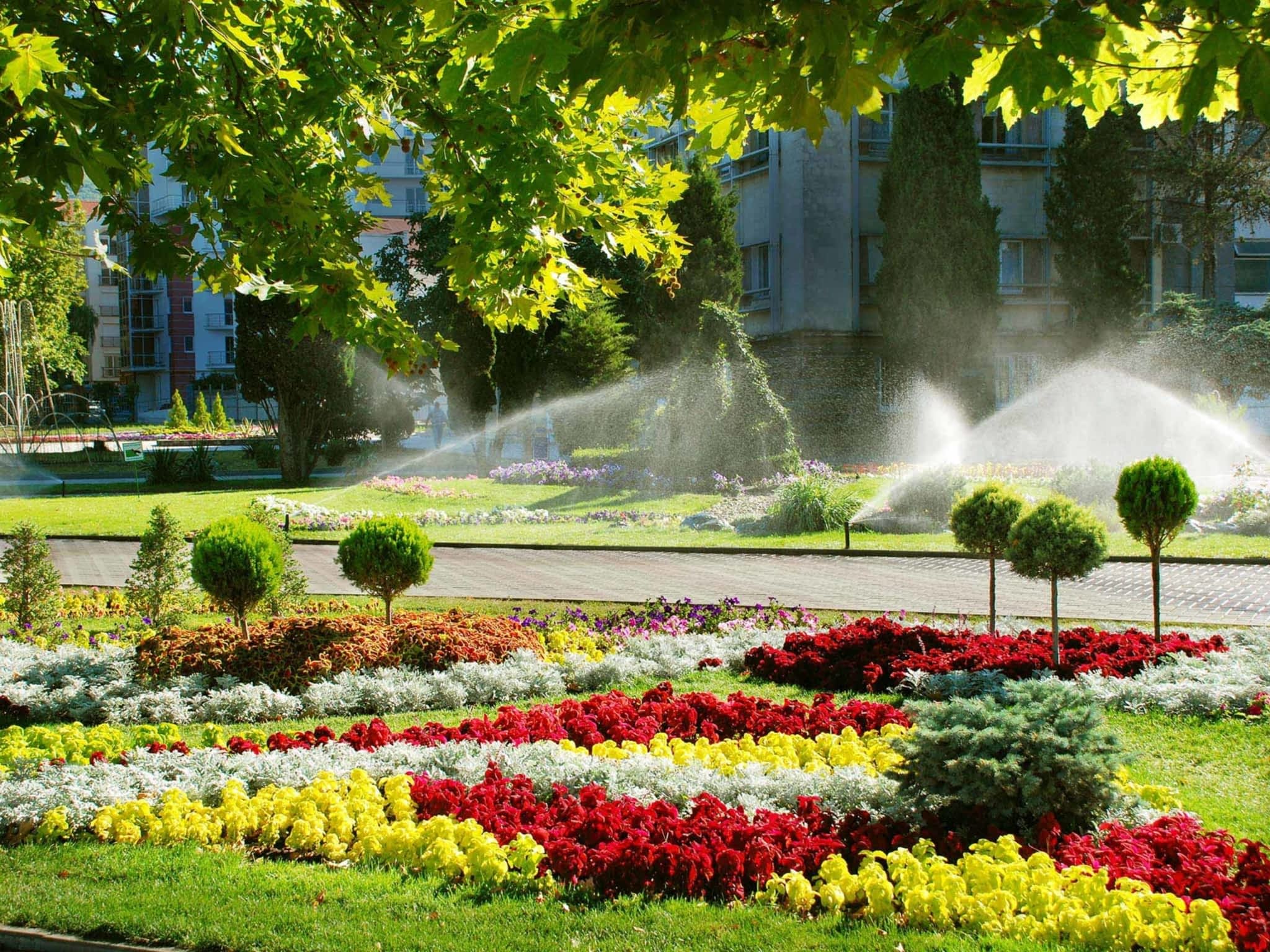 photo Platinum Landscaping