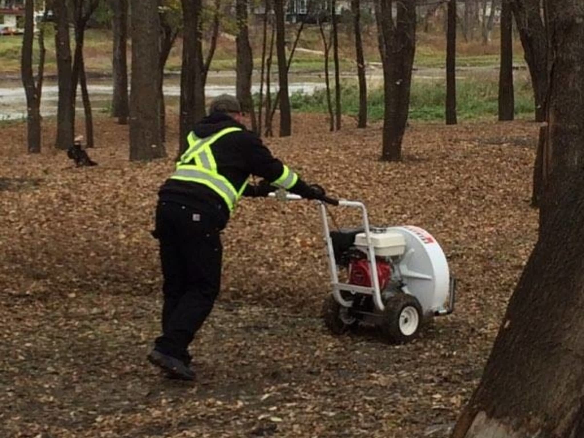 photo Virtue Property Maintenance