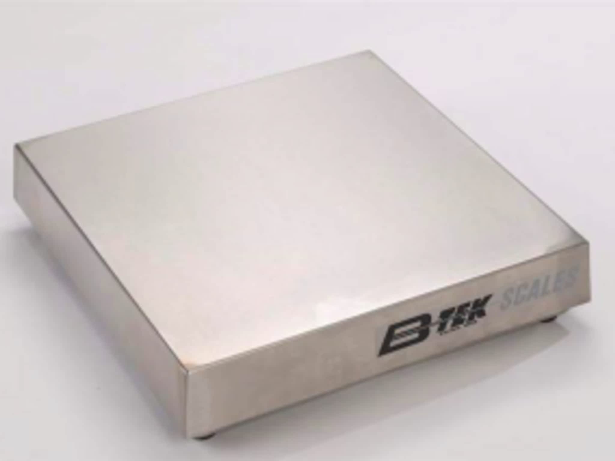 photo Alectronic Scale Systems Inc