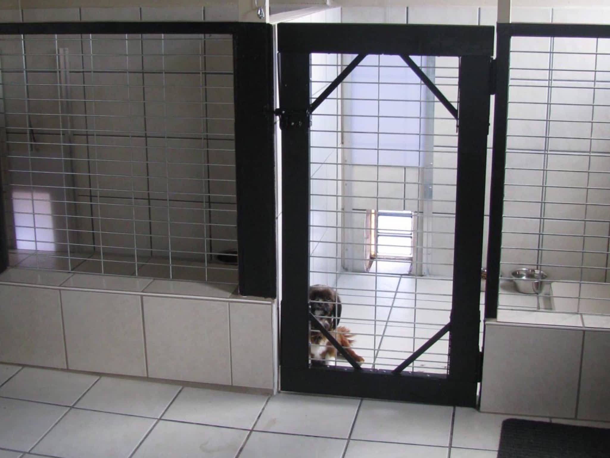 Country Home Kennels Canpages