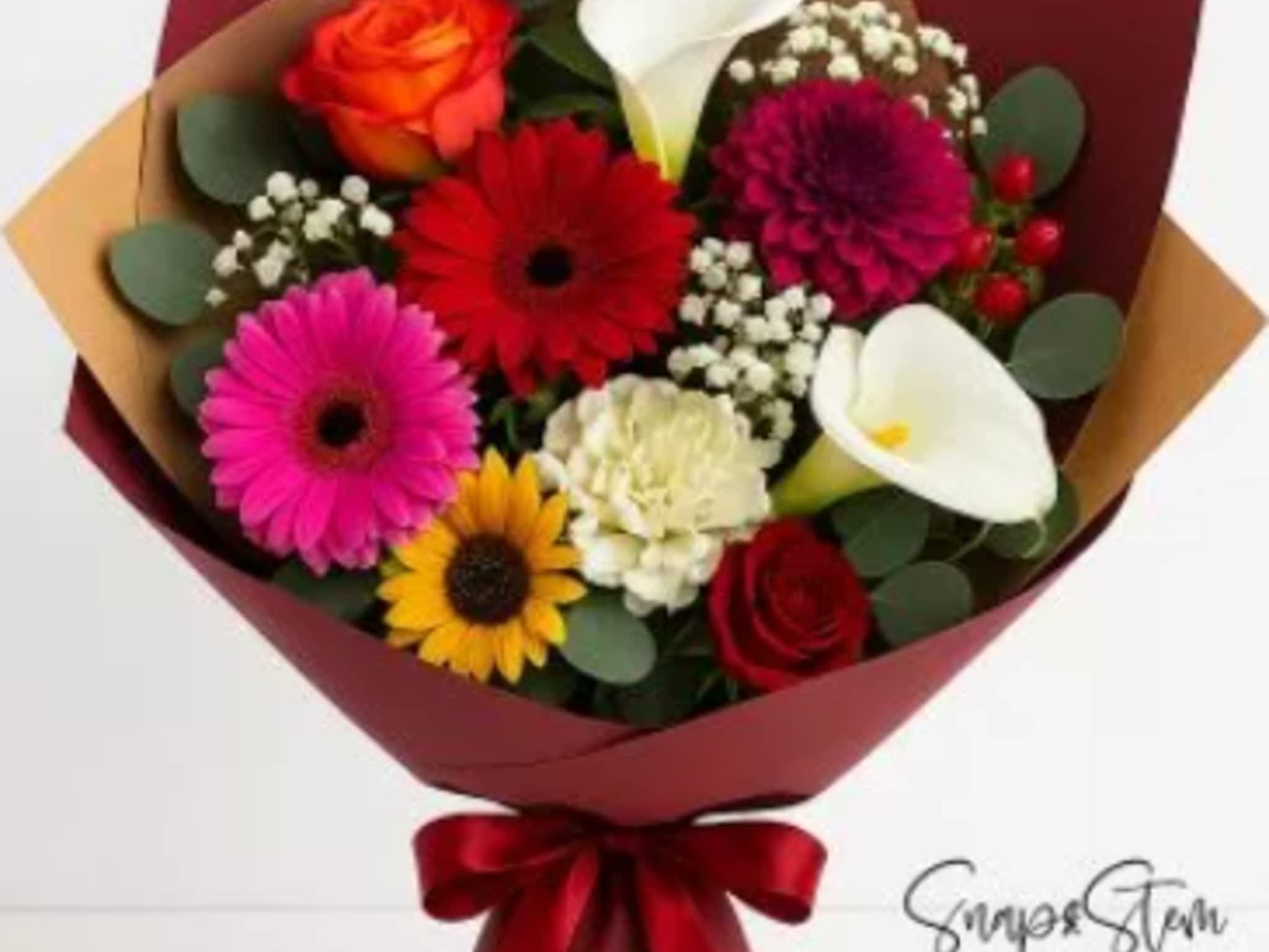 photo Snap And Stem Creative Studio