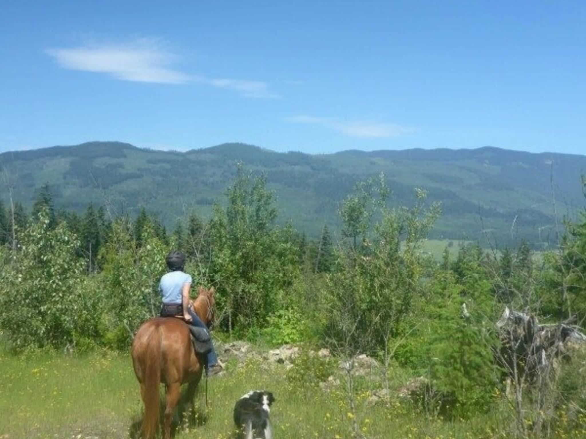 photo Vavenby Trail Rides (The Shook Ranch)