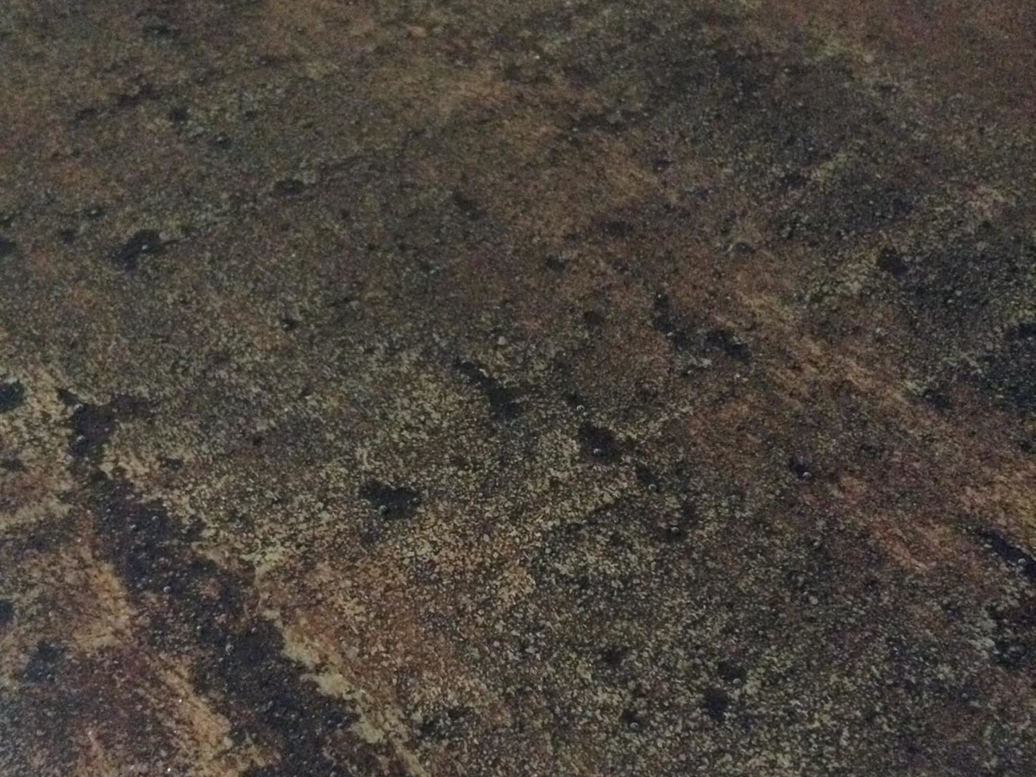 photo Decorative Cement