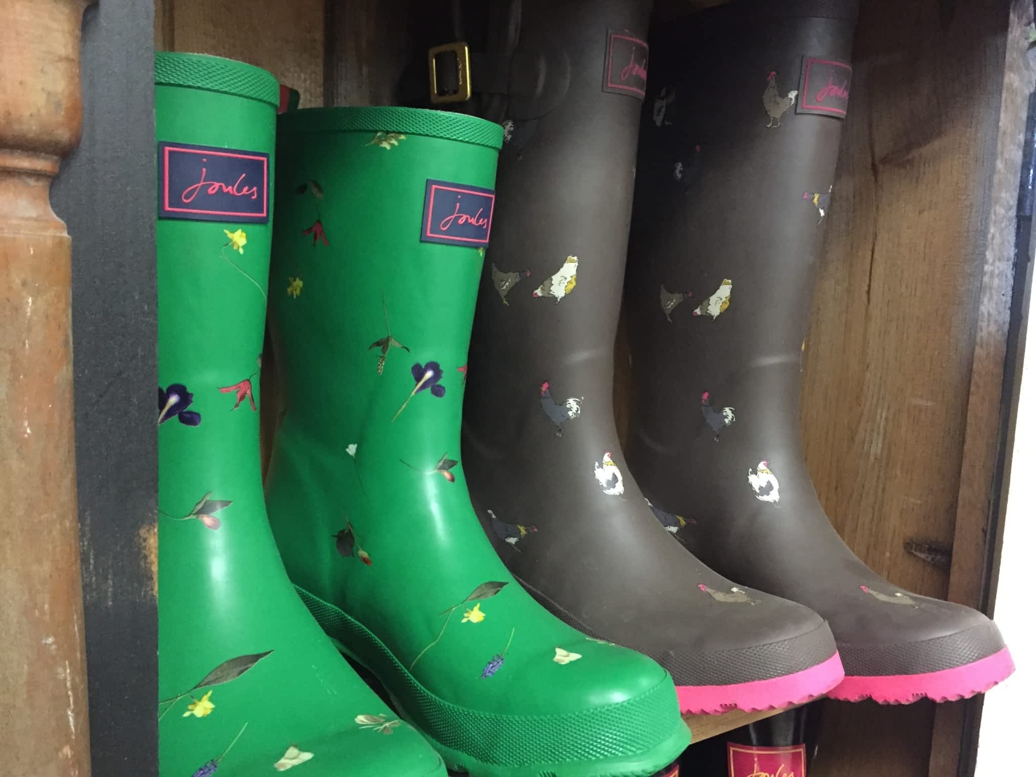 photo Treasure Chest