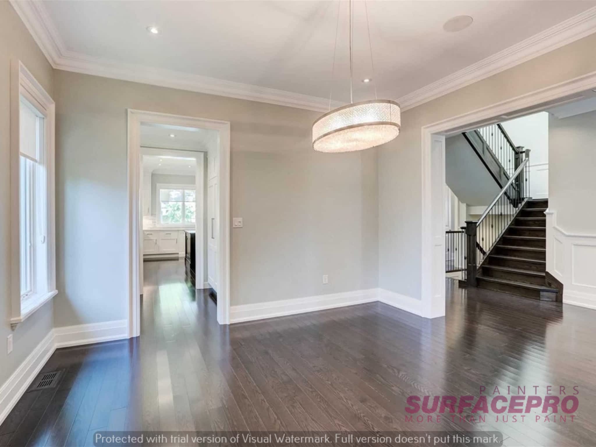 photo SurfacePro Painters