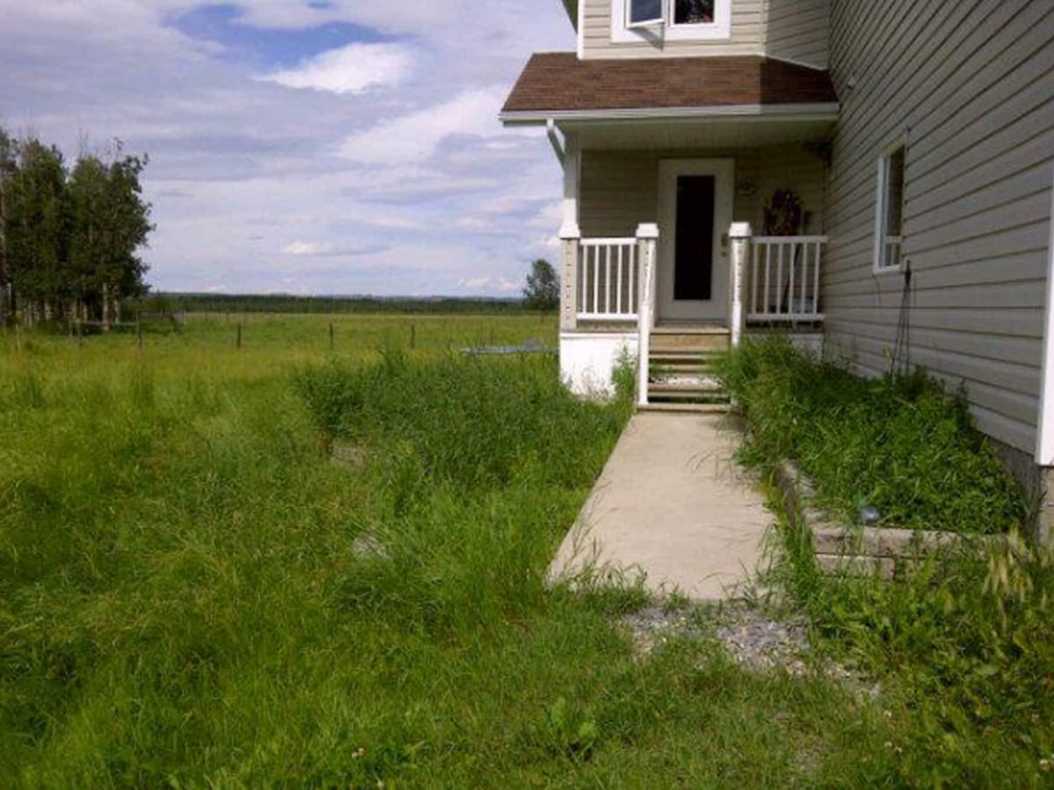 photo Dragonfly Tree Services