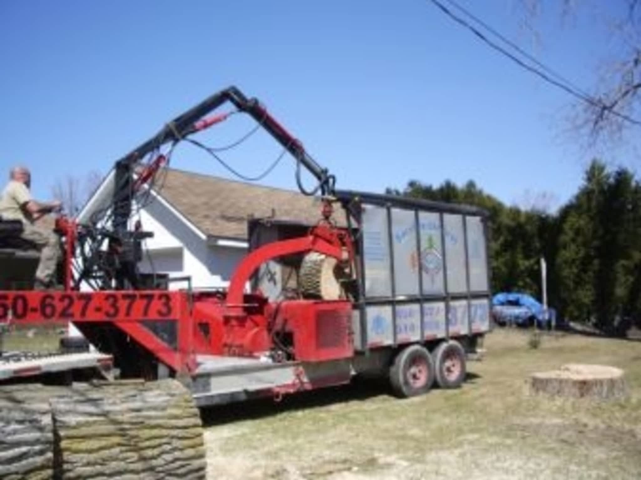 photo Service D'Arbres Marco