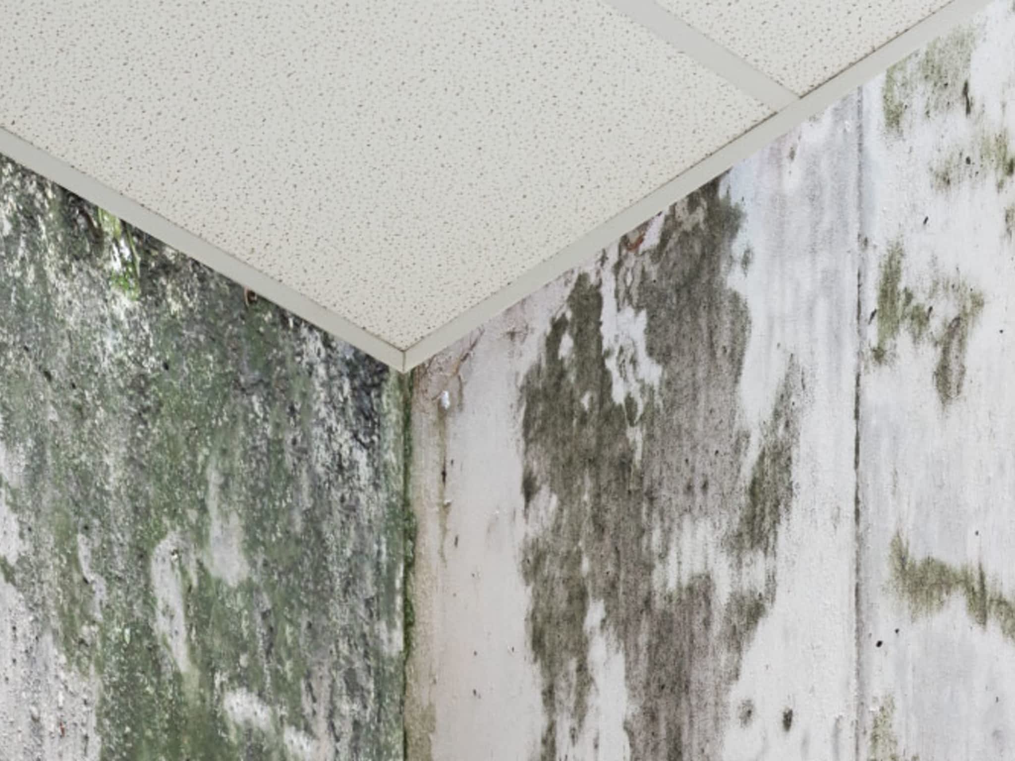 photo Cascade Environmental Consulting Ltd