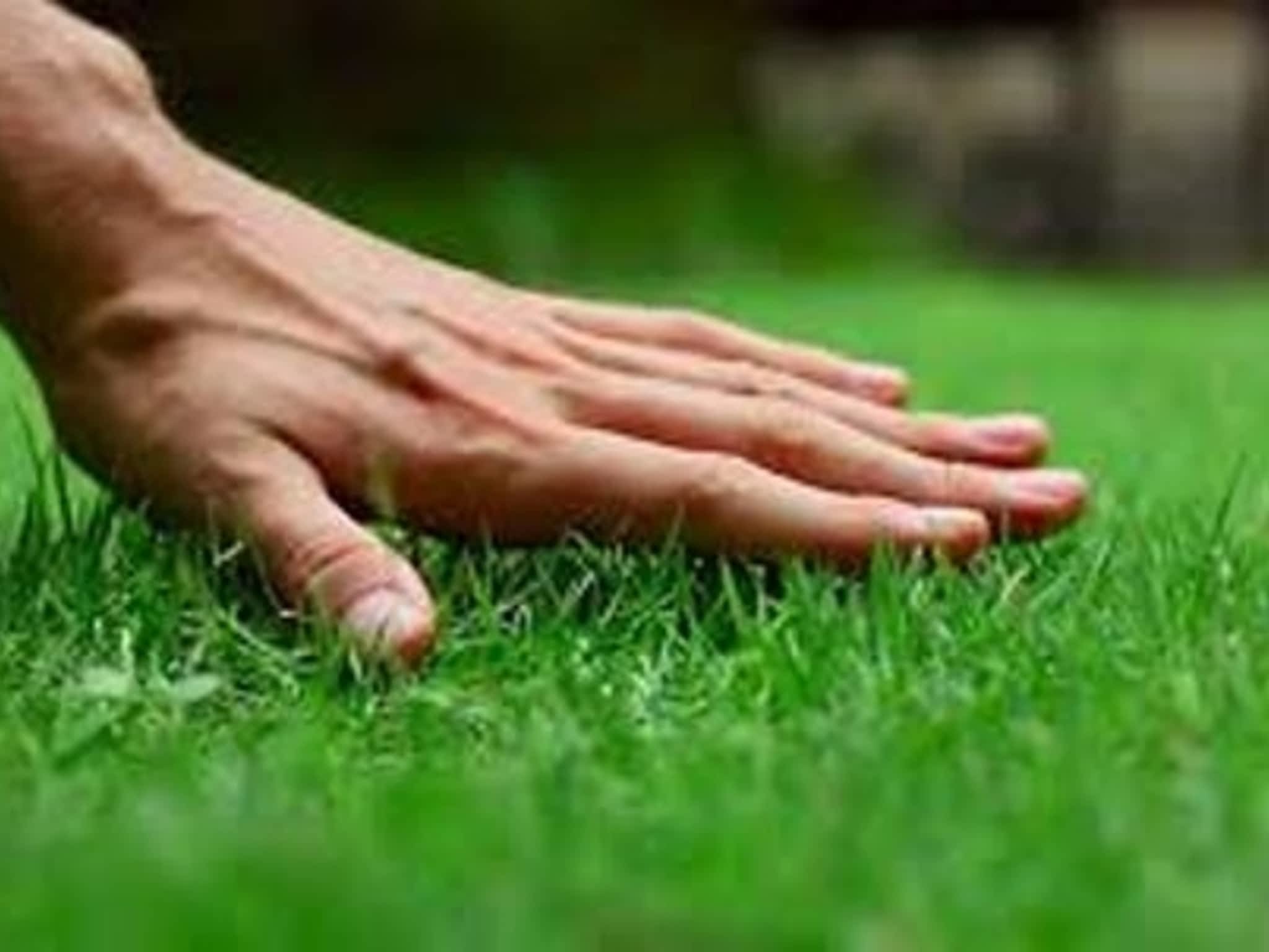 photo LV Construction Services