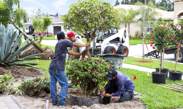 Your dream yard: Edmonton landscapers who make the cut