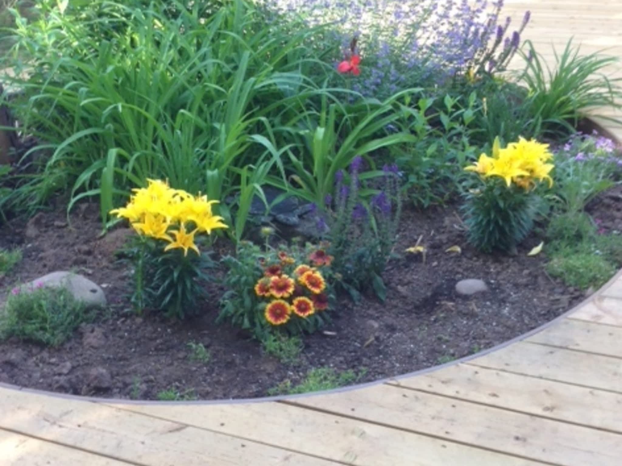 photo Pro Deck Builder