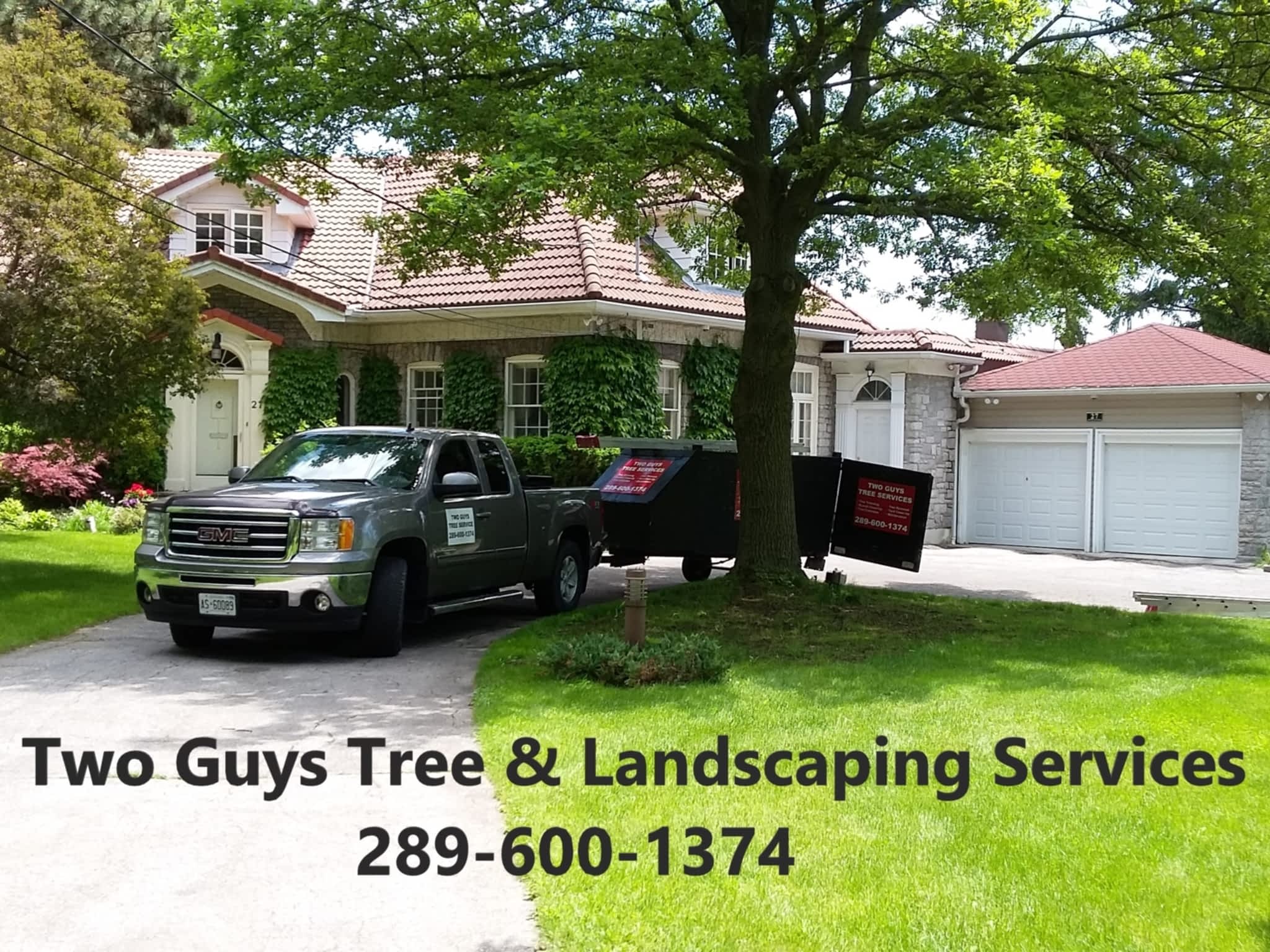 photo Two Guys Tree Services
