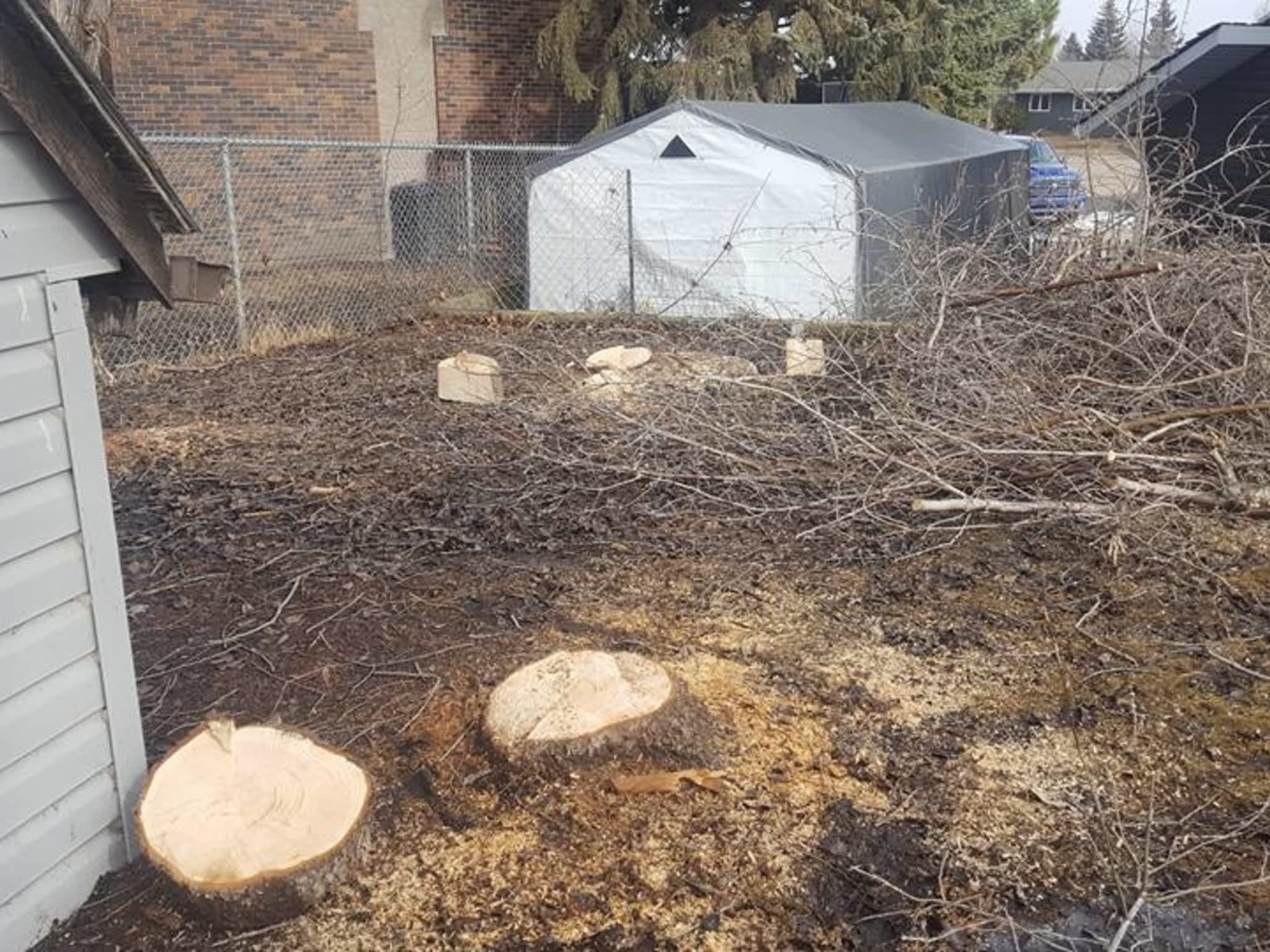 photo Borderline Services Ltd