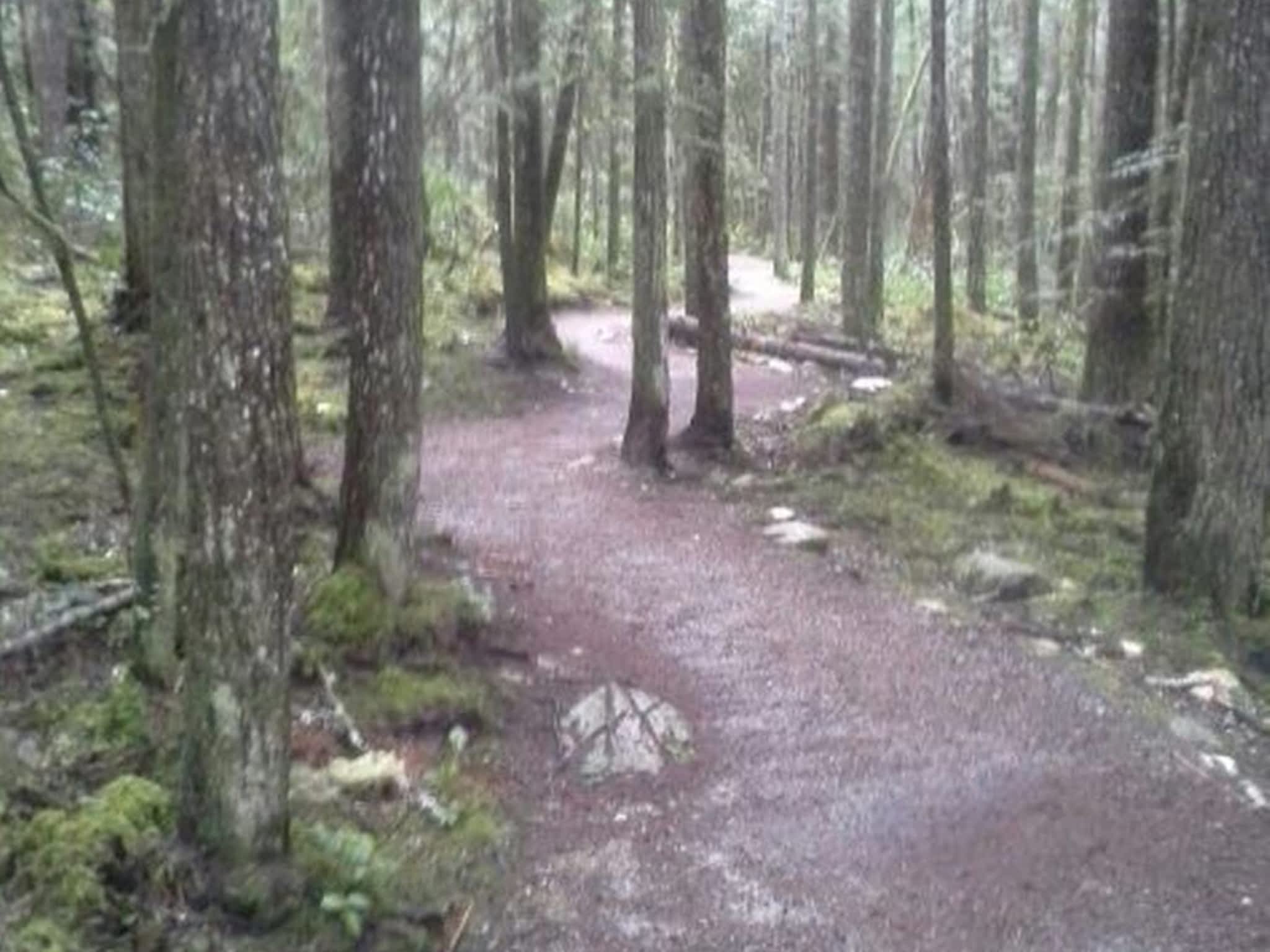 photo Small World Excavating