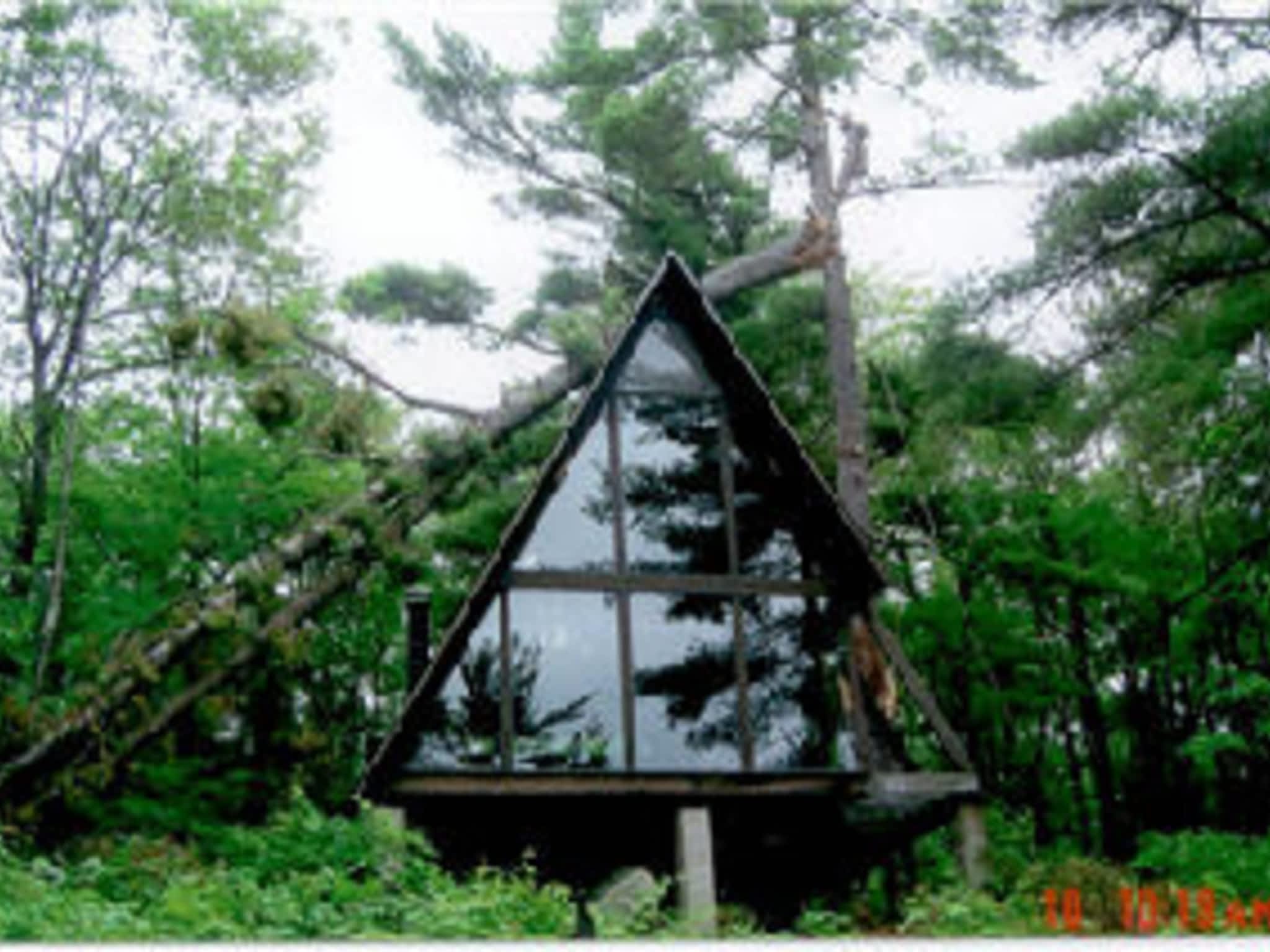 photo AAA Tree Service