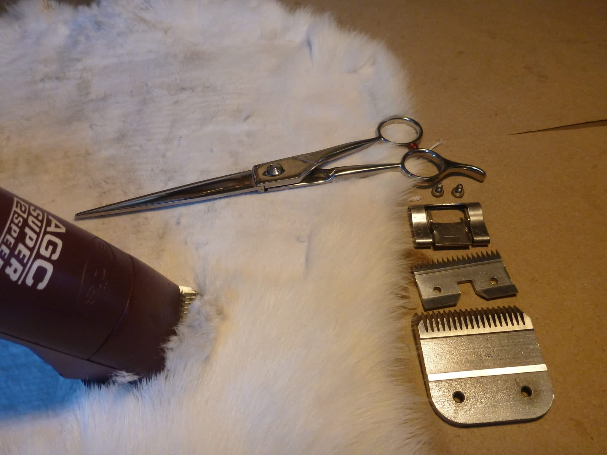 photo Cutting-Edge Mobile Sharpening