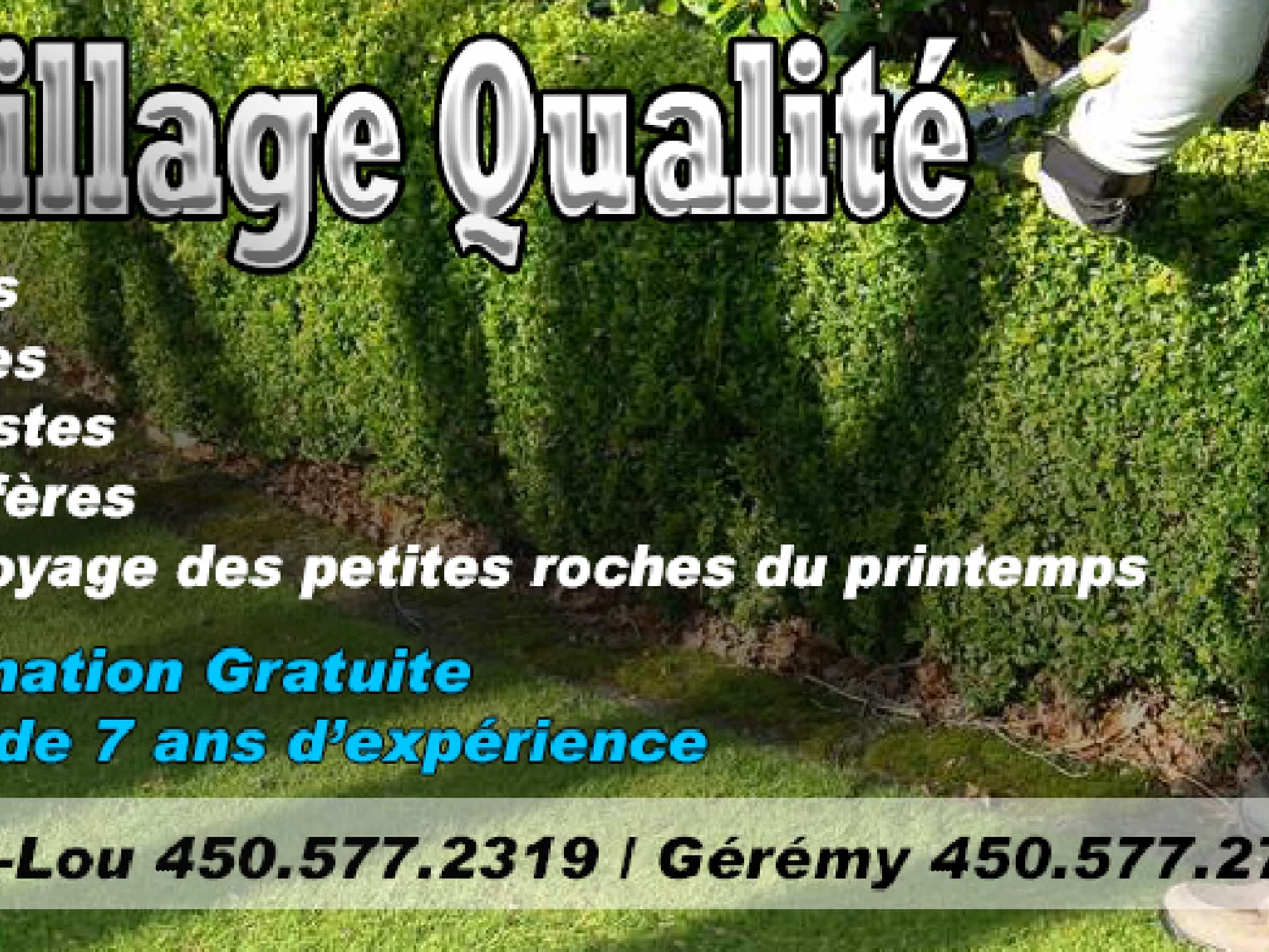 photo Taillage Qualité