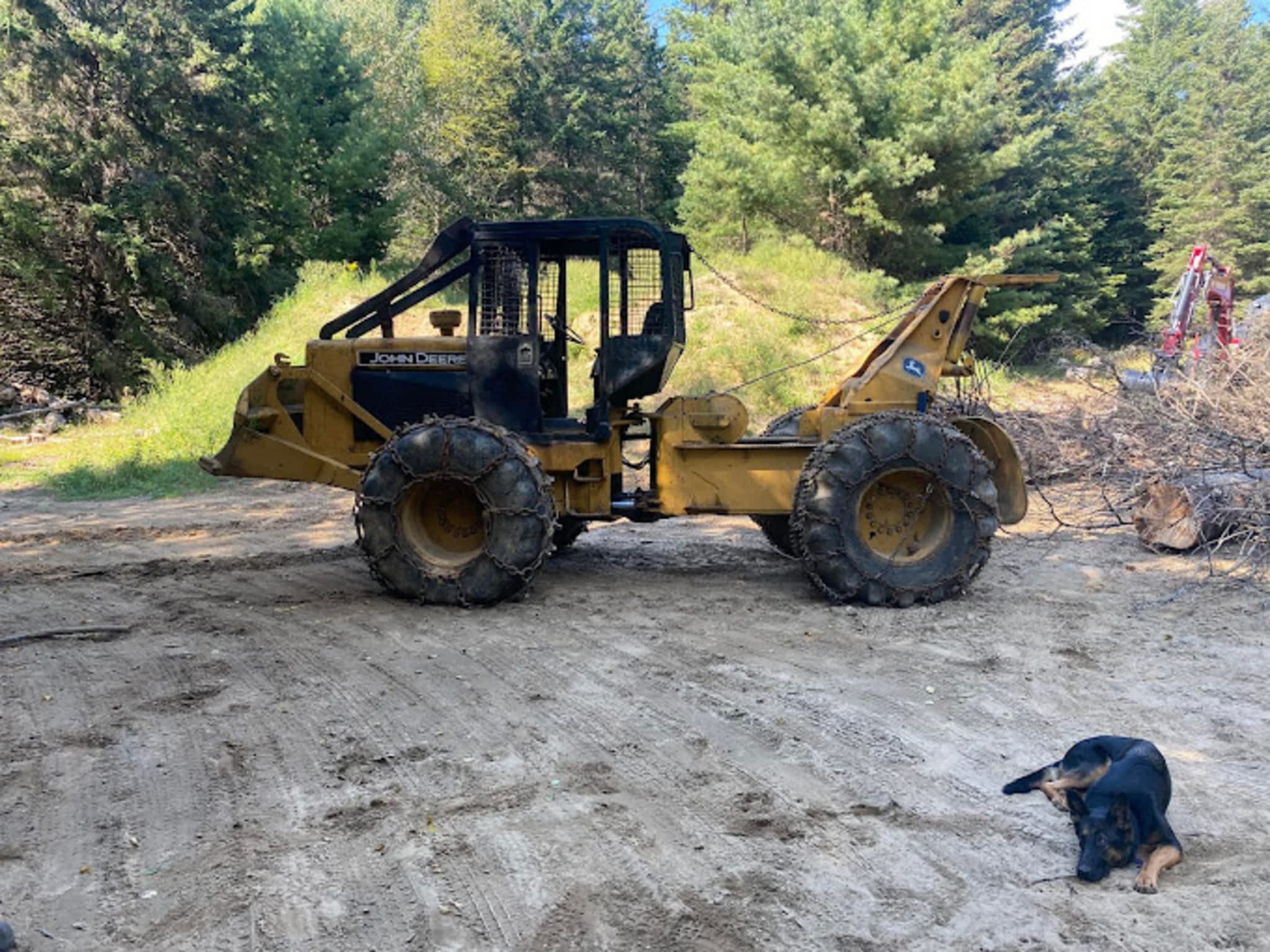 photo Abattage Maisonneuve