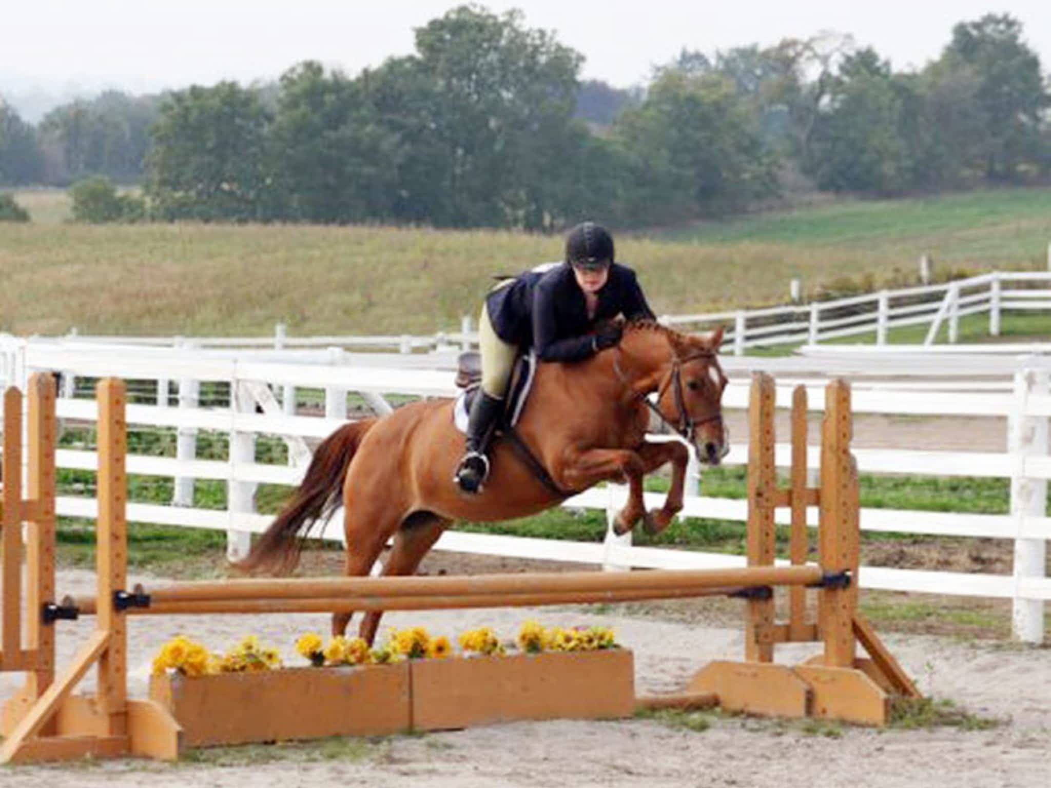 photo JL Equestrian Centre