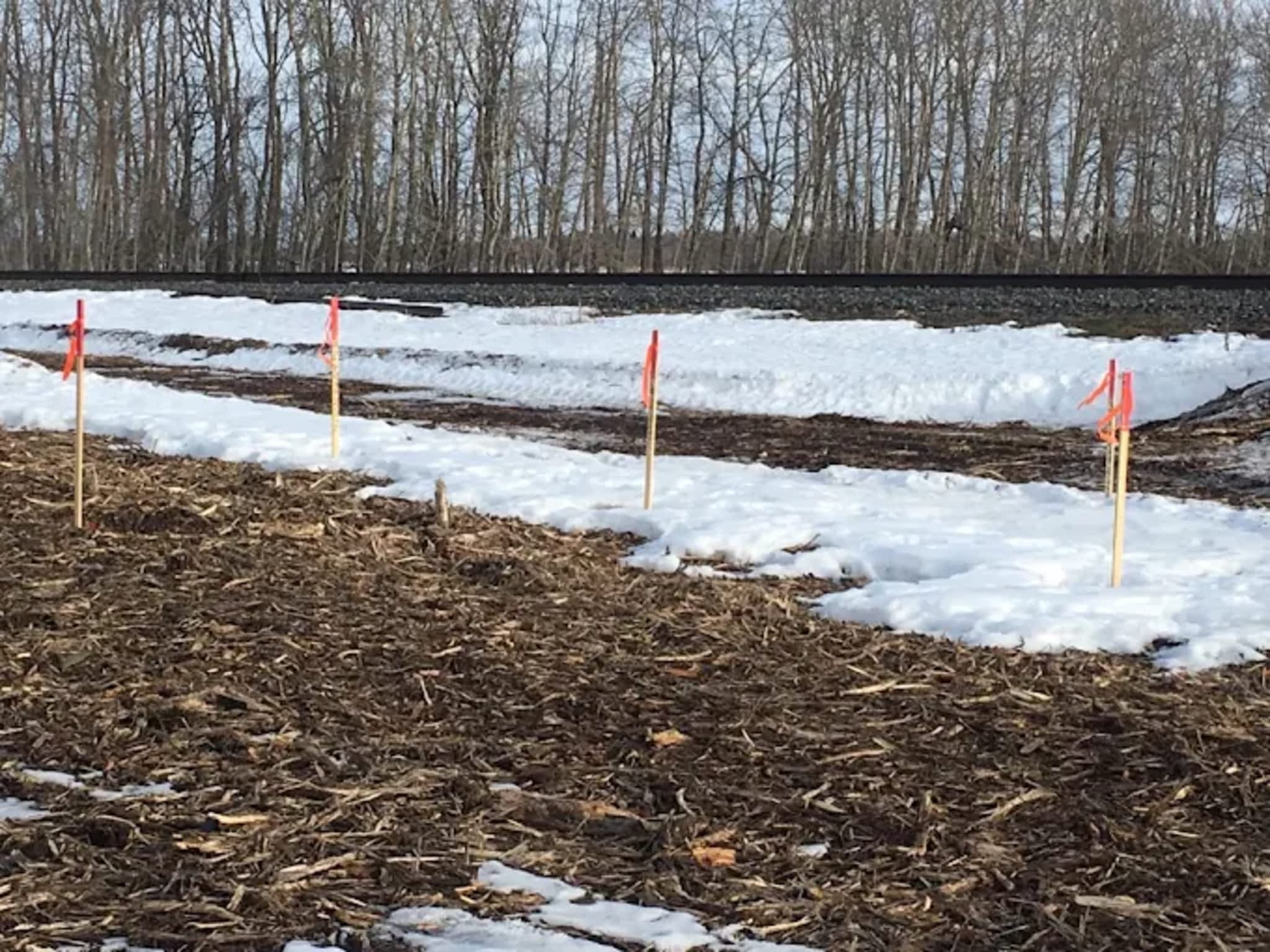 photo Wright Line Locating Ltd