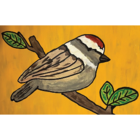 The Little Sparrow Infant & Children’s Wear - Magasins de vêtements pour enfants